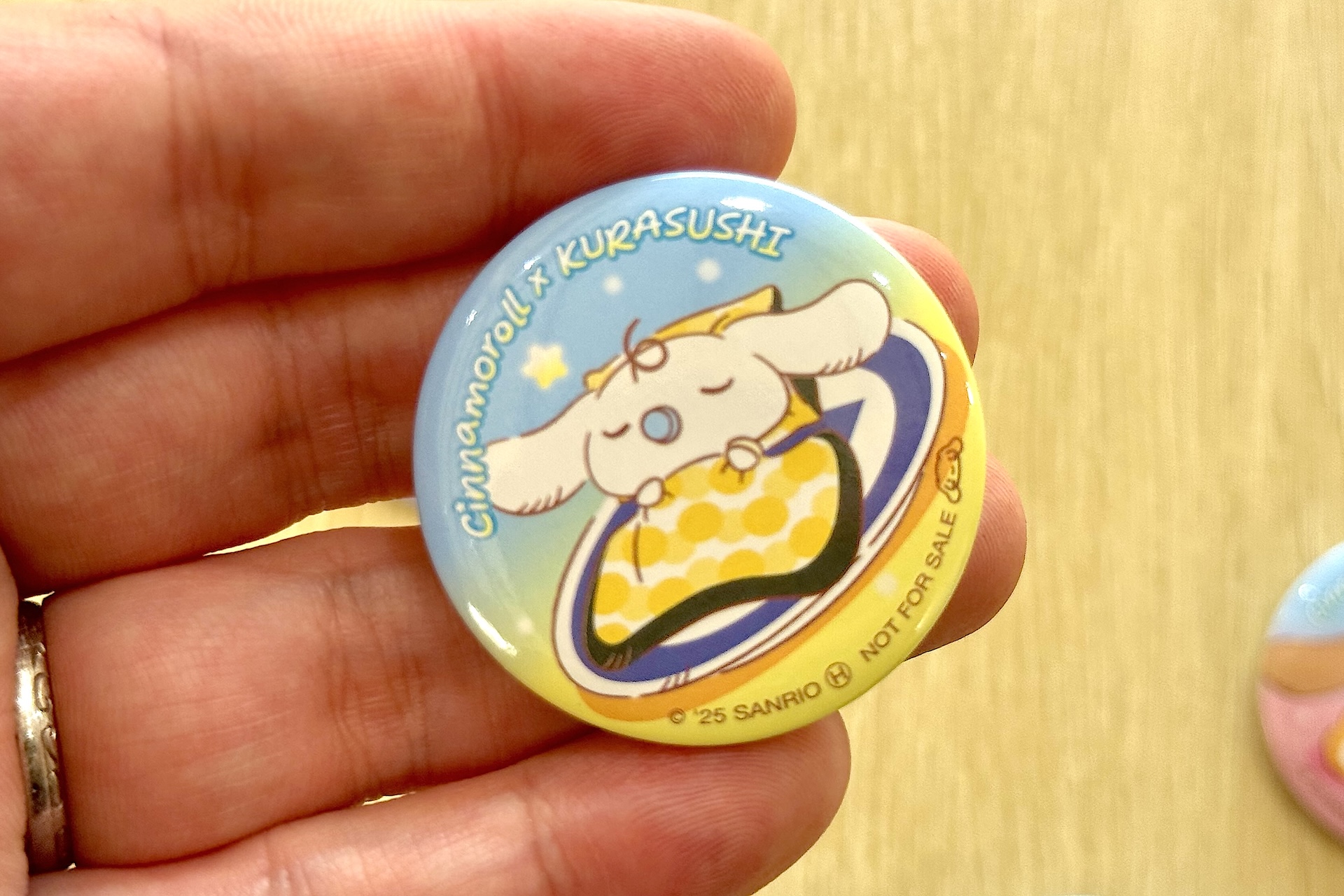 手のひらに乗せてみるとサイズ感がわかりやすいかと思う