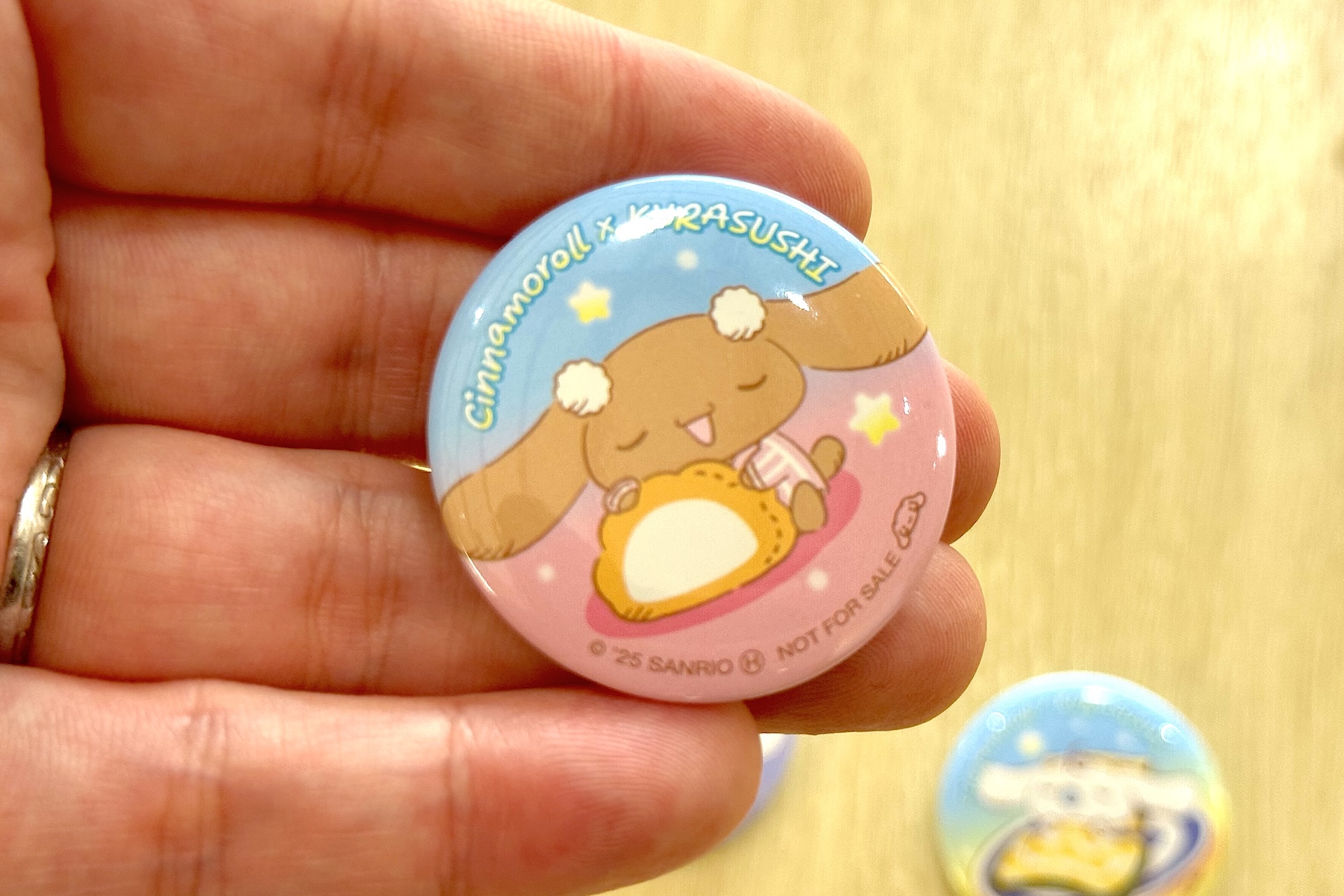 手のひらに乗せてみるとサイズ感がわかりやすいかと思う