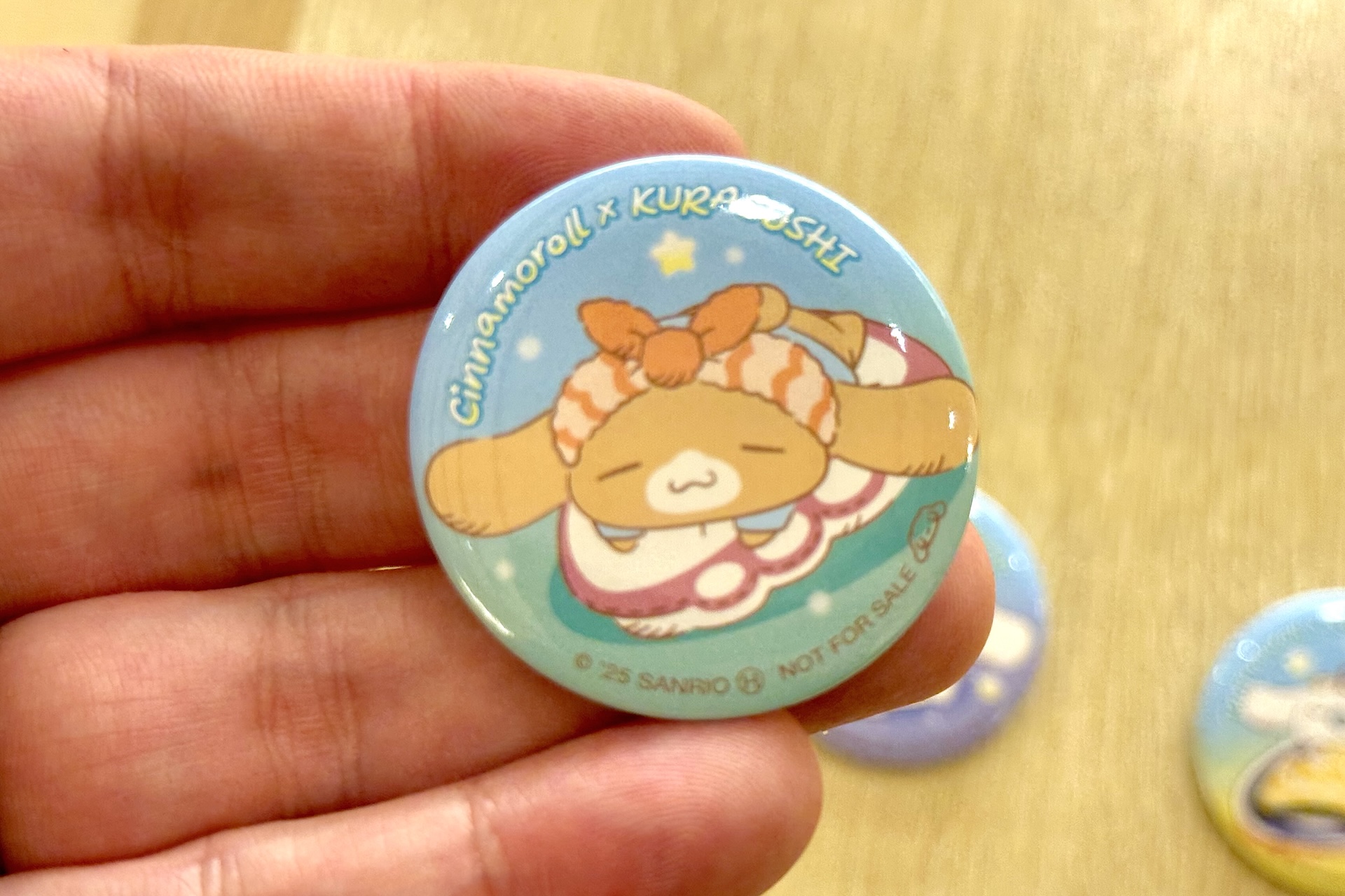 手のひらに乗せてみるとサイズ感がわかりやすいかと思う