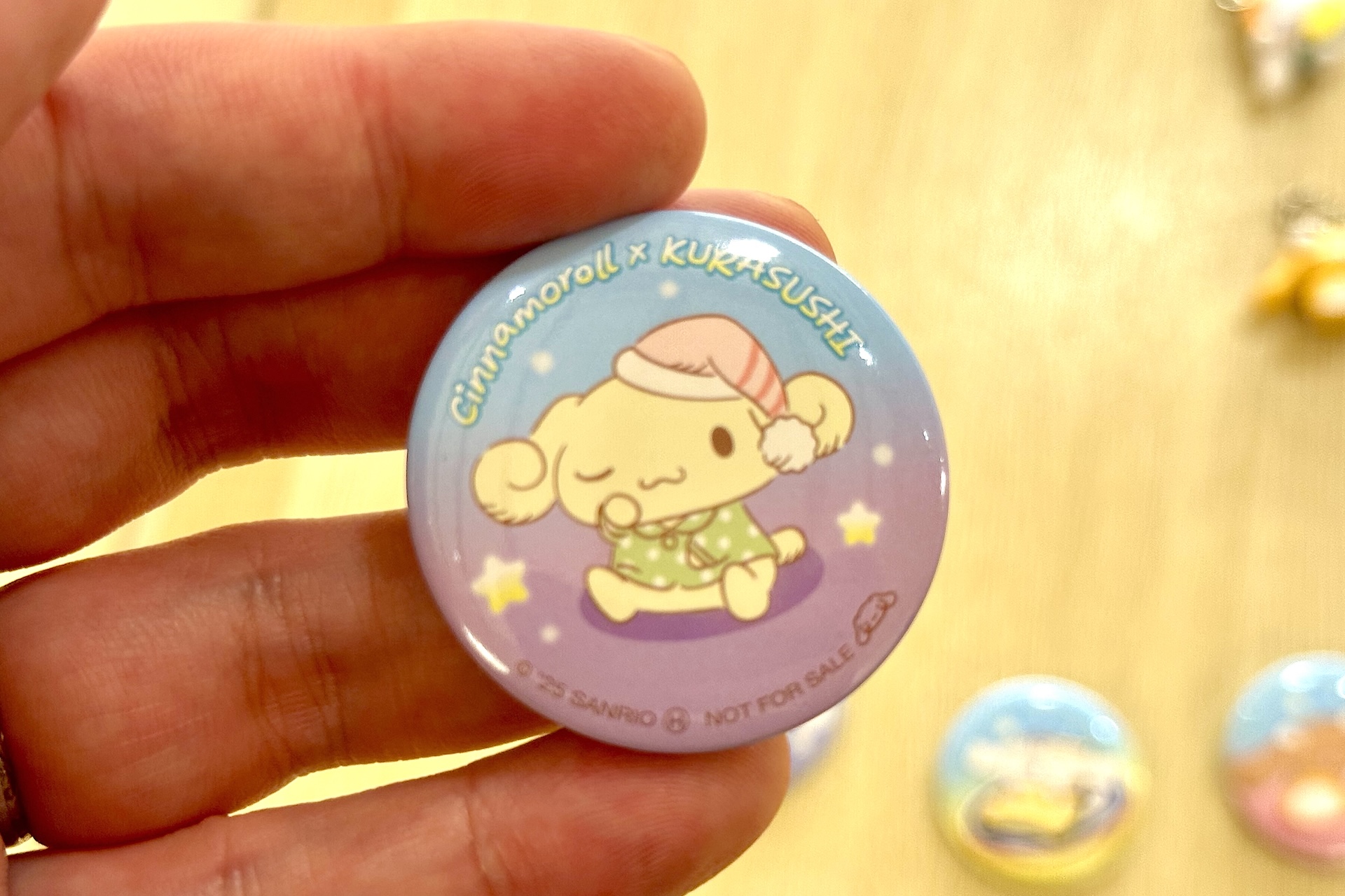 手のひらに乗せてみるとサイズ感がわかりやすいかと思う