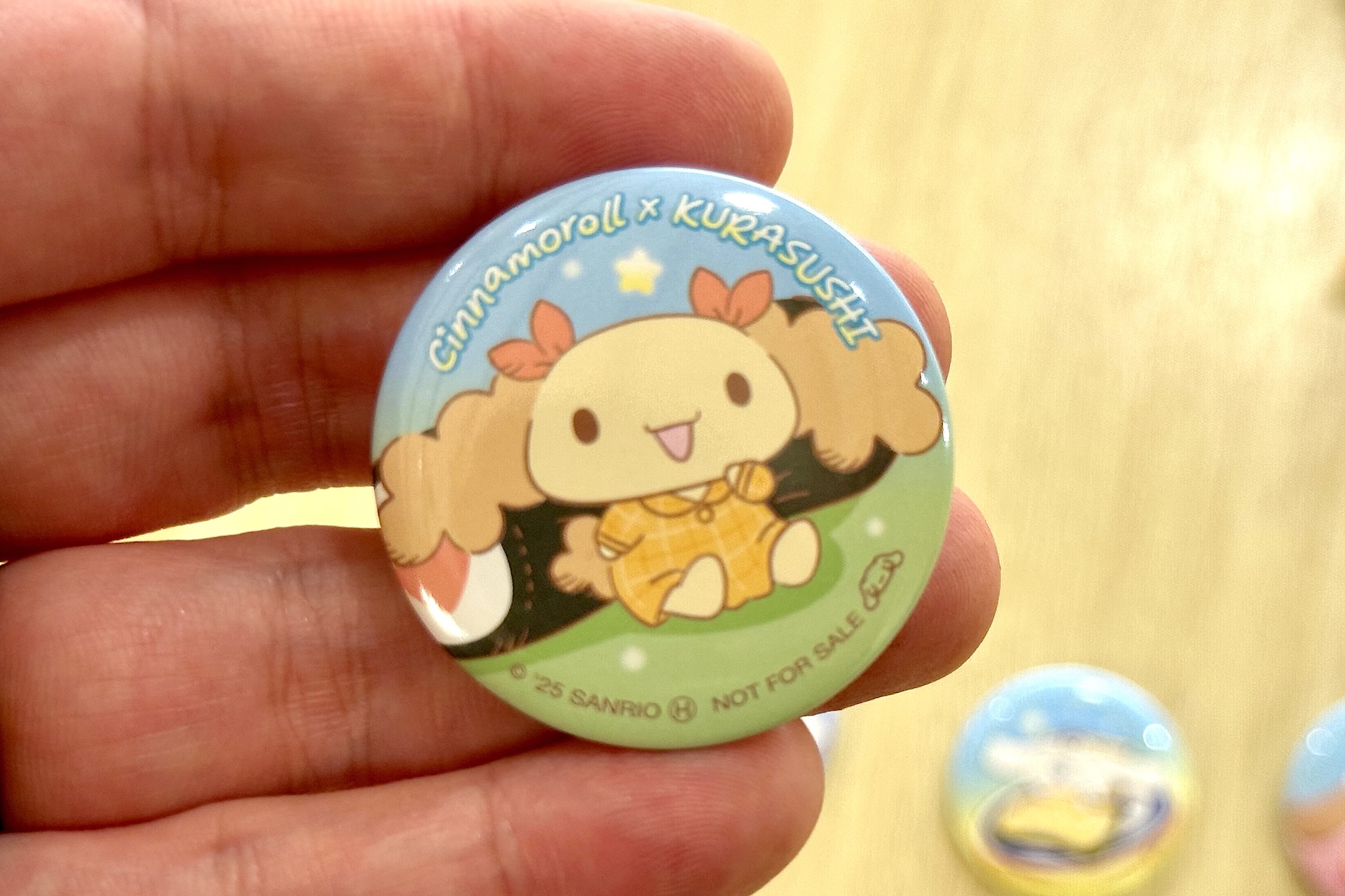 手のひらに乗せてみるとサイズ感がわかりやすいかと思う