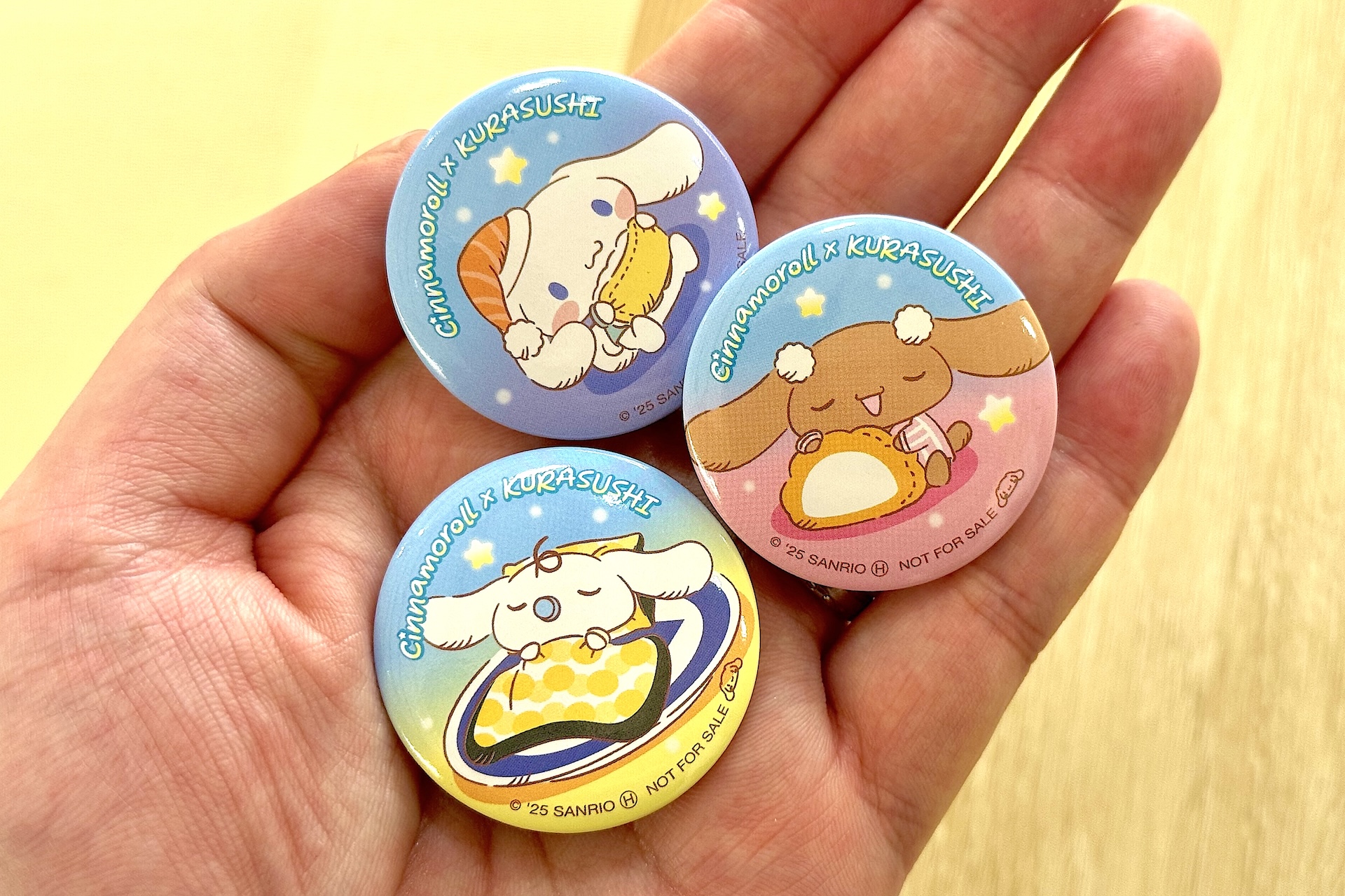 手のひらに乗せてみるとサイズ感がわかりやすいかと思う