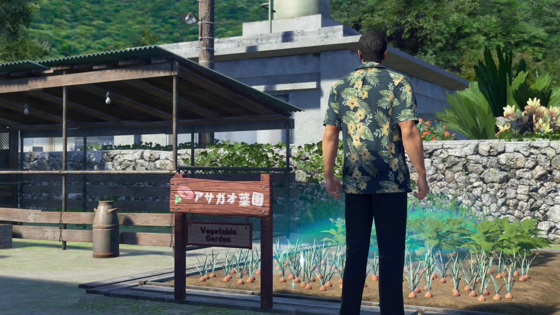 新人パパとしてアサガオでの生活をする