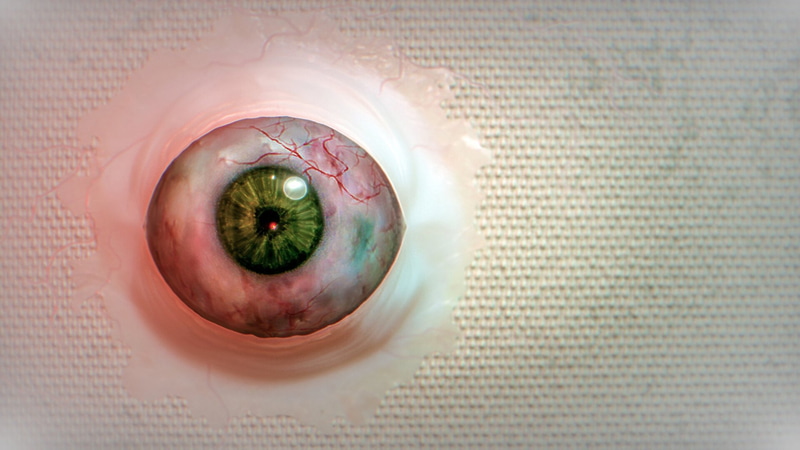 画像は2枚とも「BrokenLore: DON'T WATCH」のもの