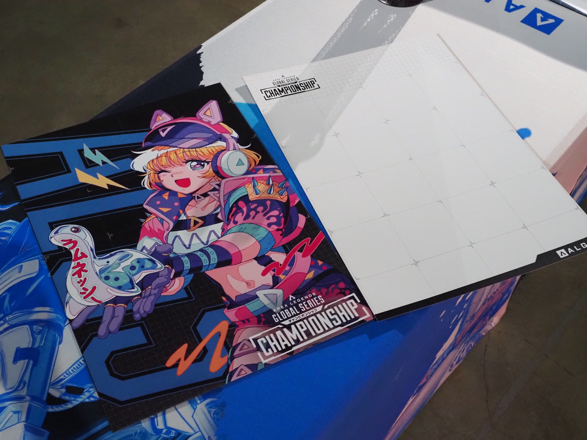 選手へのメッセージを書いたり、選手からサインをもらうときに便利なボードも配布されている