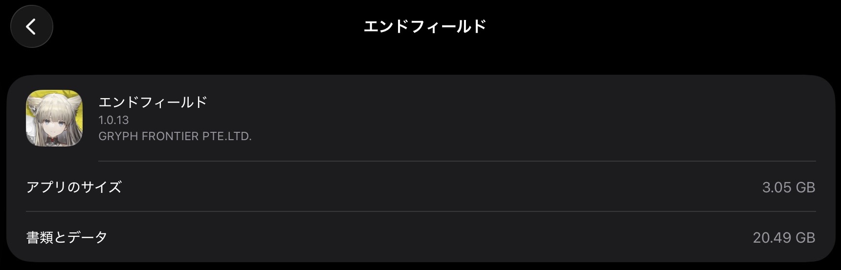 iOS版は24GBとなっている