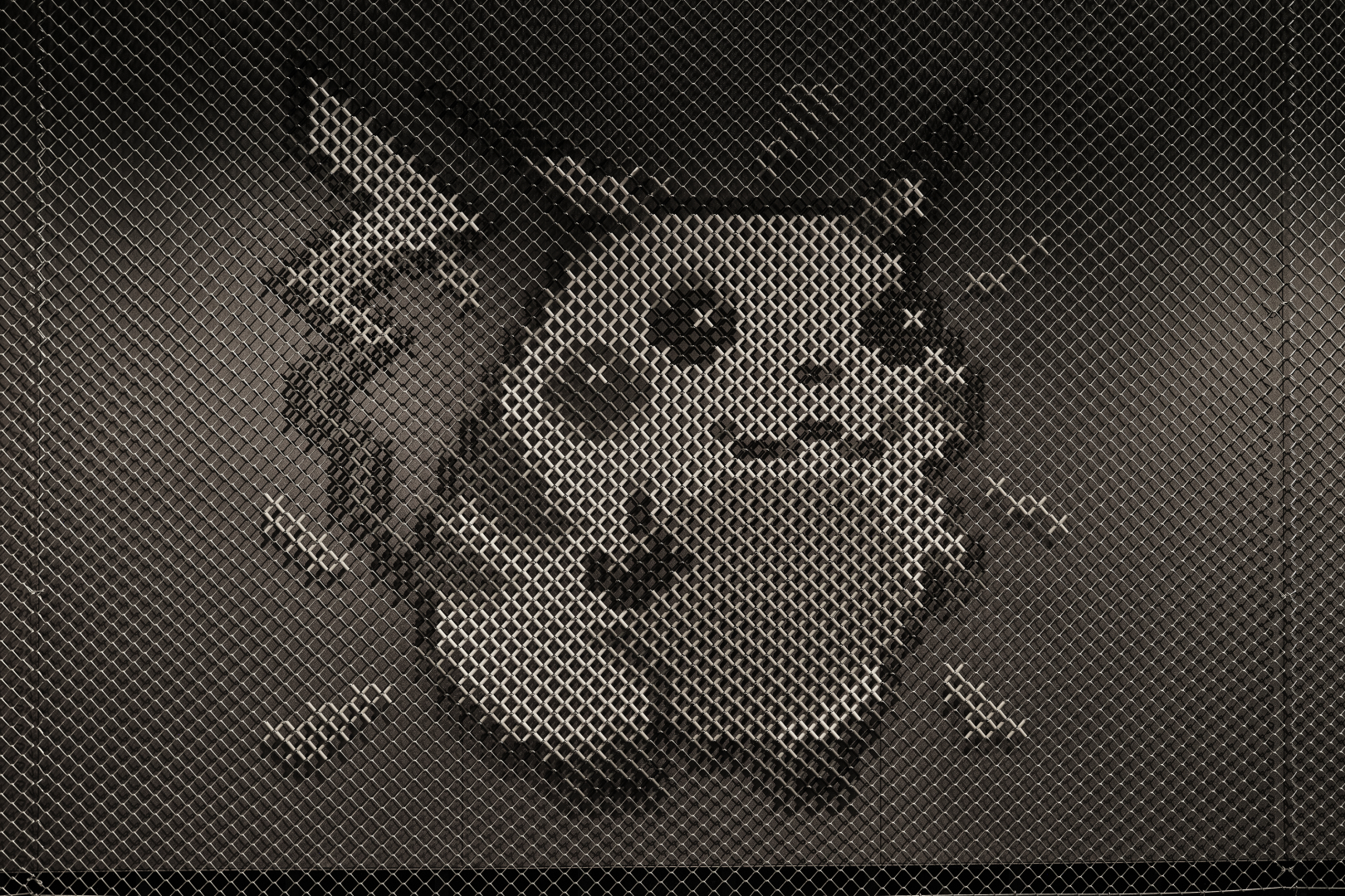 カヤツリタウン