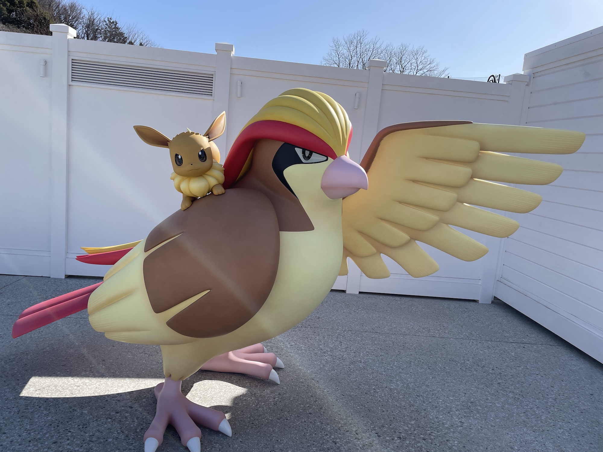 ピカピカパラダイス