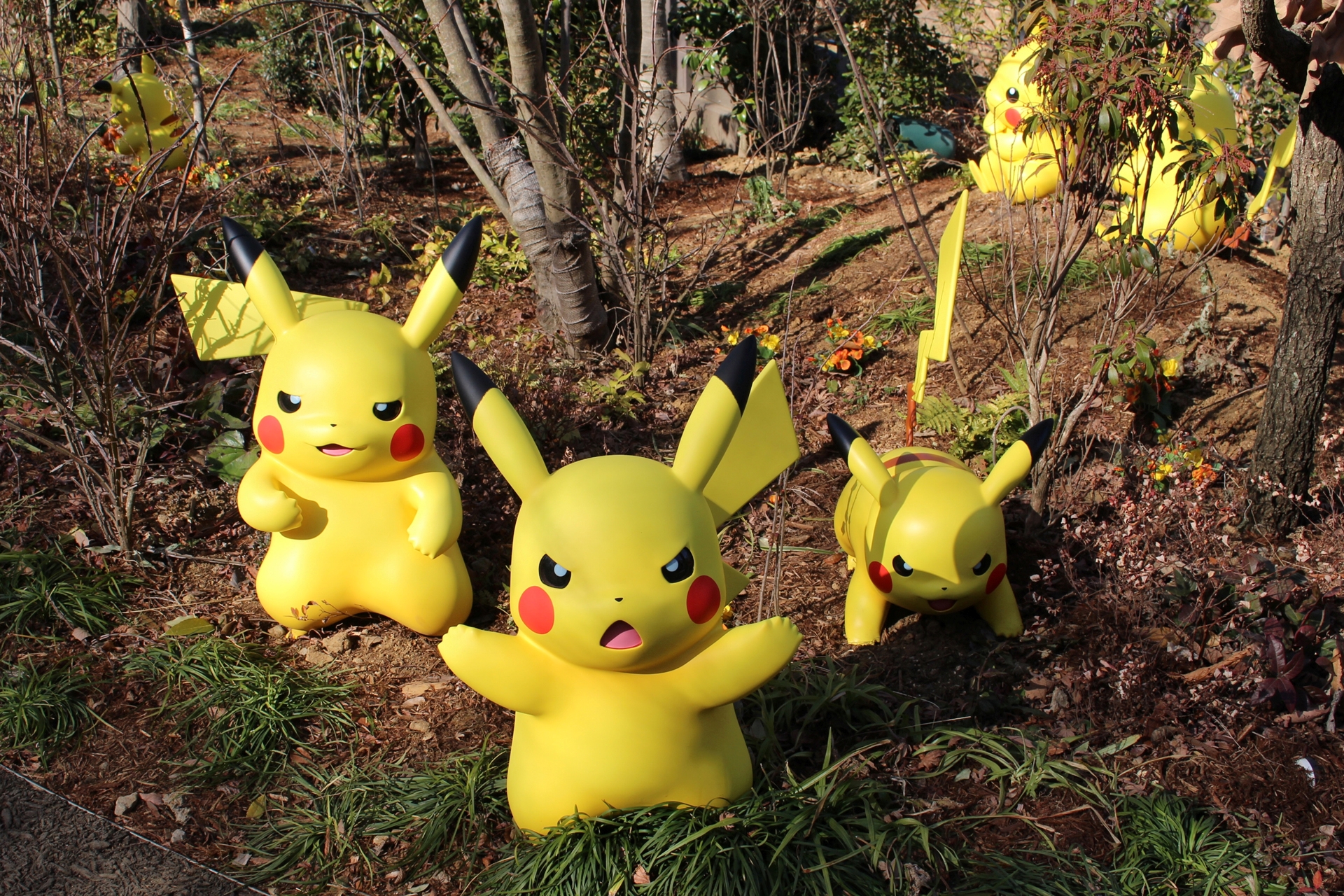 同じポケモンでも個体は全て違う。いろんなピカチュウ達と触れ合おう