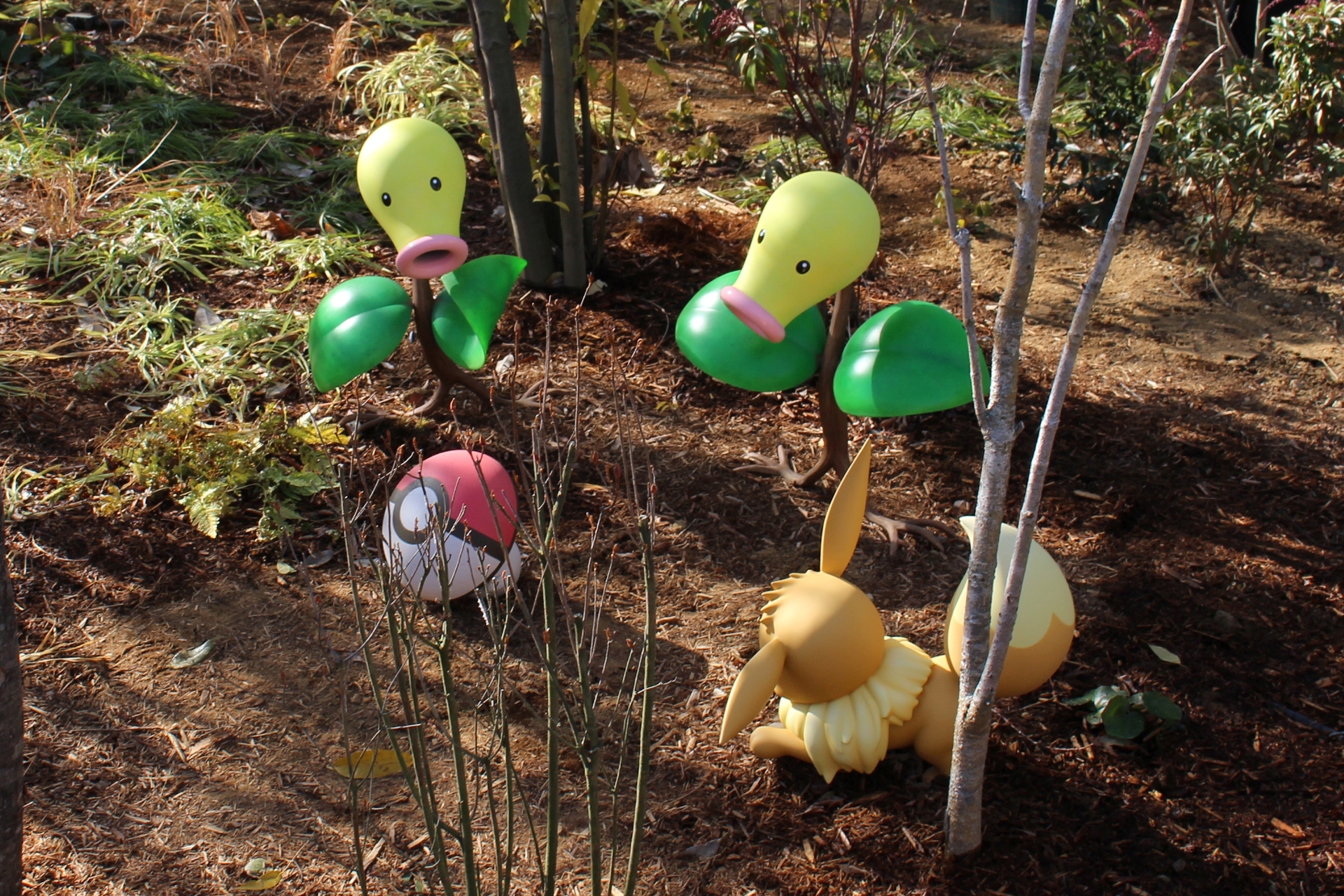 森に生息しているのは主にカントー地方のポケモンだが、それ以外も存在している