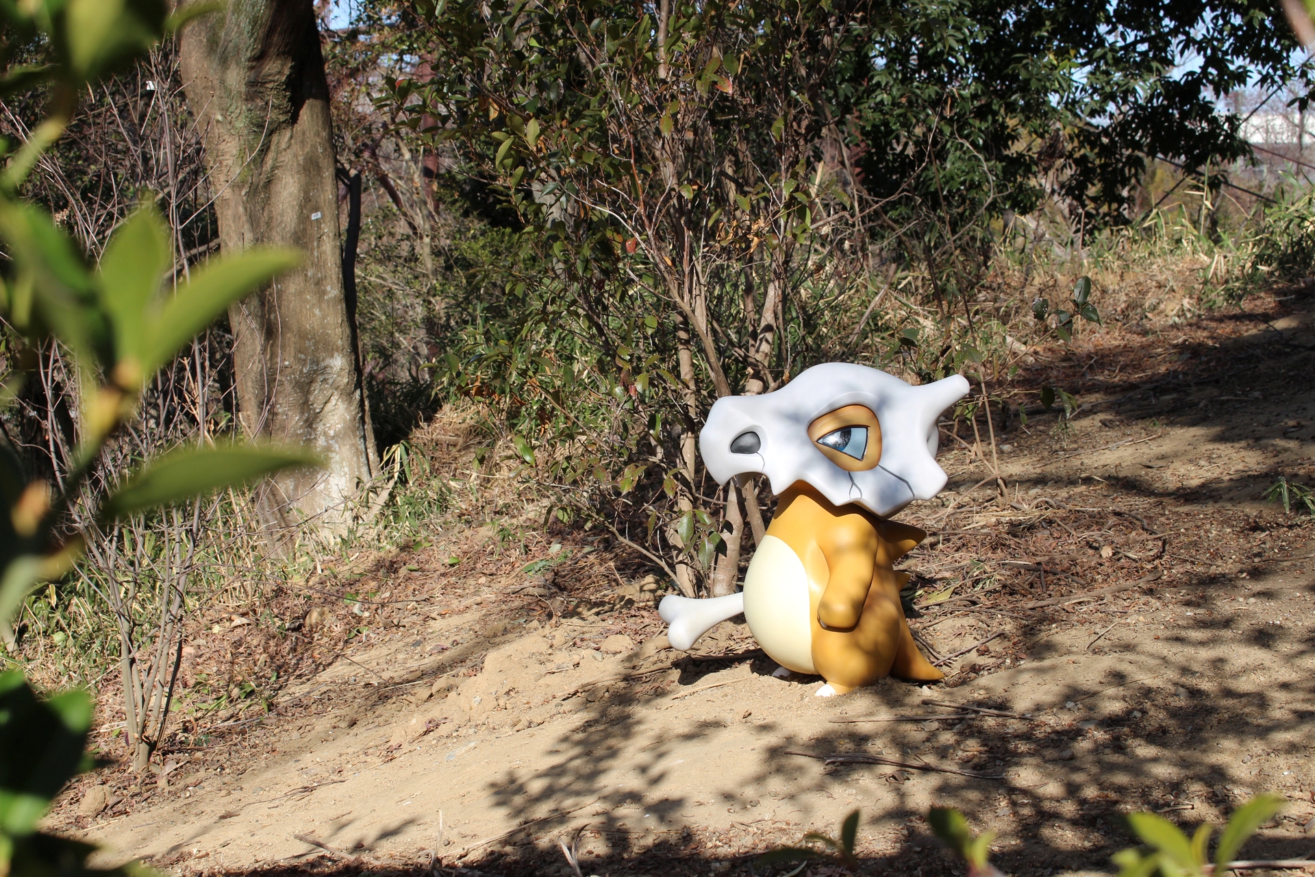 “こどくポケモン”の名の通り、群れを作らず単独で暮らすカラカラ。生態観察は実に楽しい