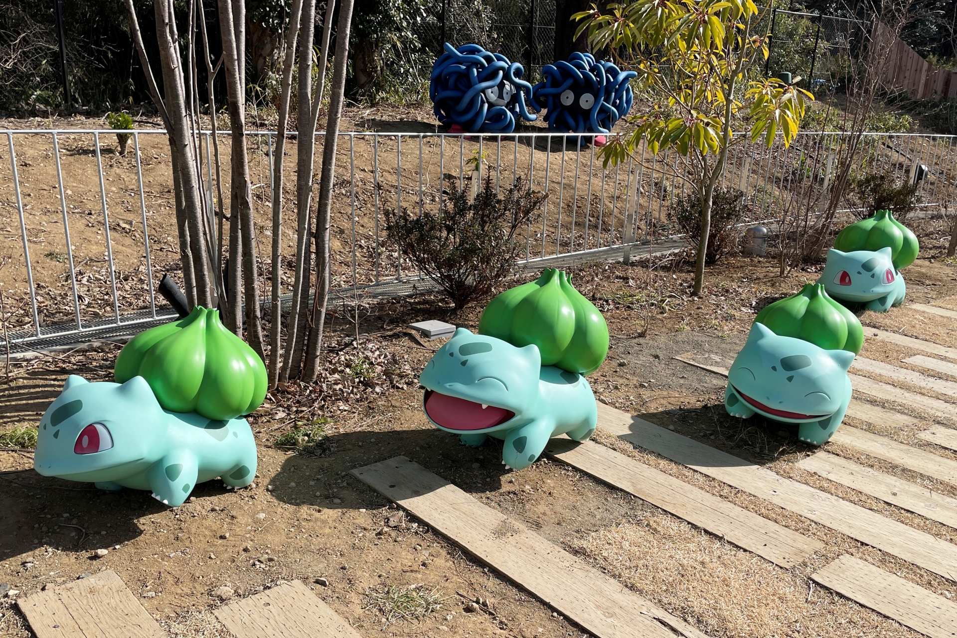 カヤツリタウンにいるポケモンたち。こちらはこちらで、じつに生き生きとしている