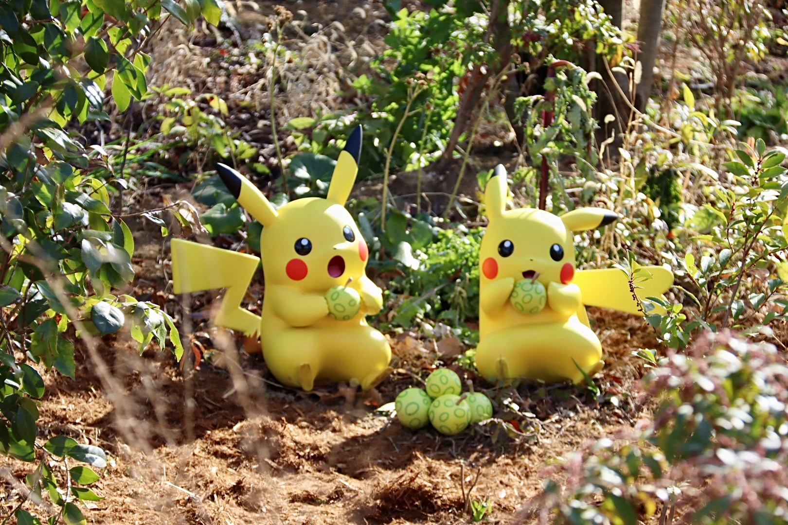 表情もポーズもポケモン1匹1匹がまったく異なる。思わずじっくり観察してしまう