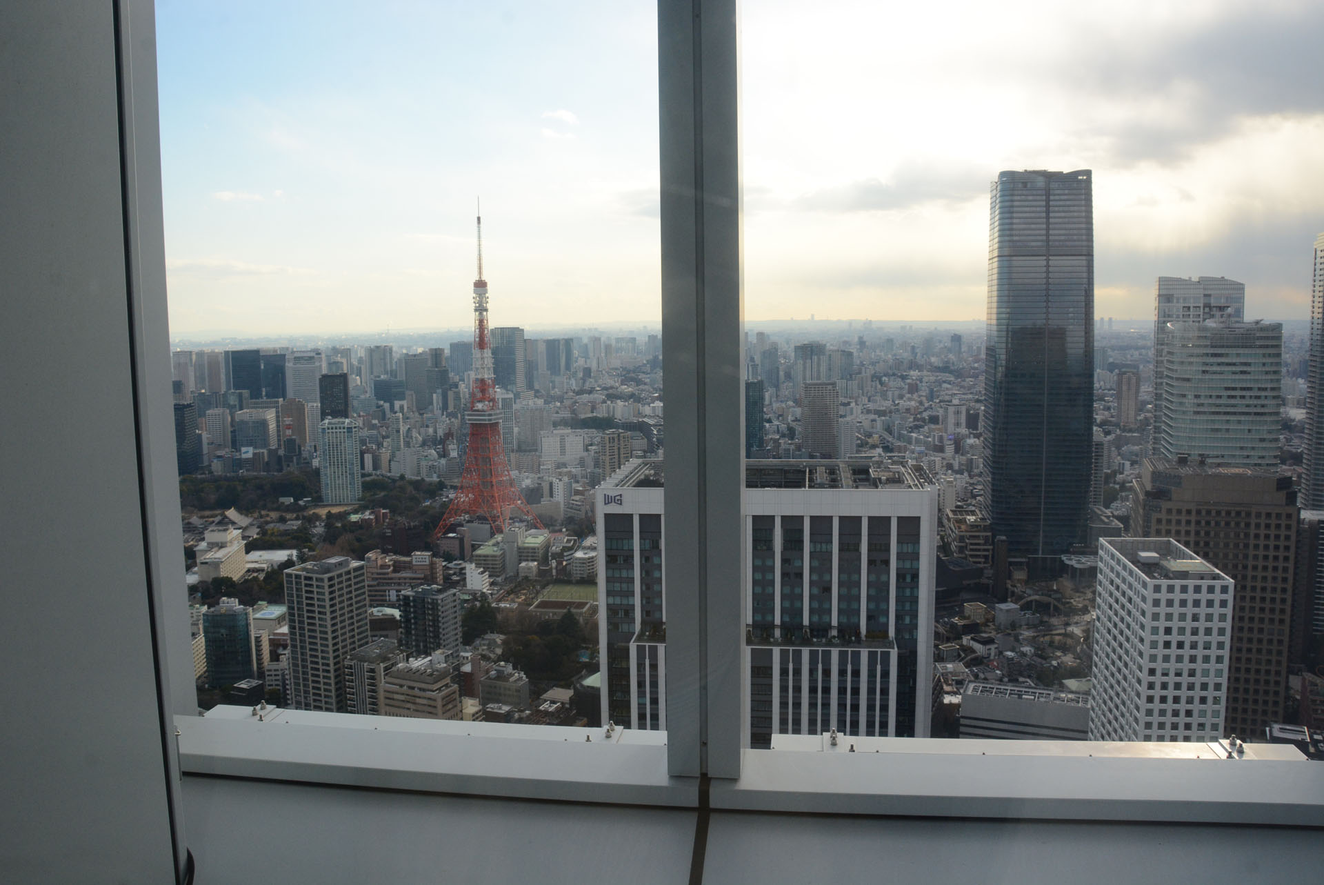 夜に会場を訪れれば、この風景の夜景に飛び込む素子を見ることができる