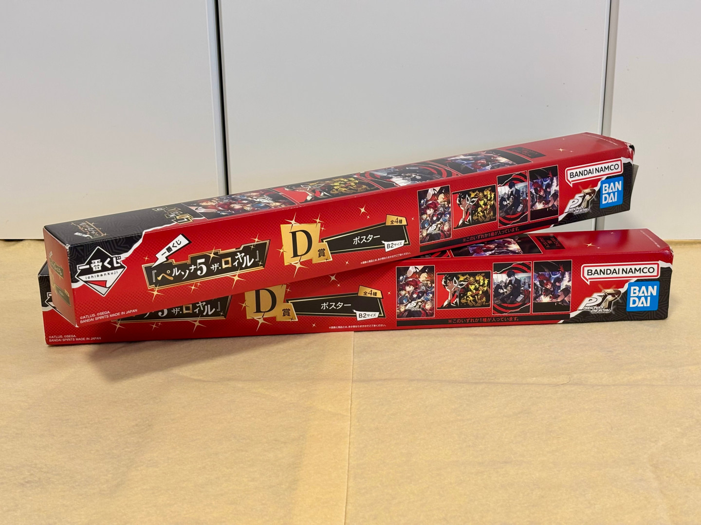 あまりに大きすぎて持参した袋から大きくはみ出してしまったポスターケースは今回の大雪の被害を受けてしまって箱が少々ボロボロになってしまった……悔しかりけり