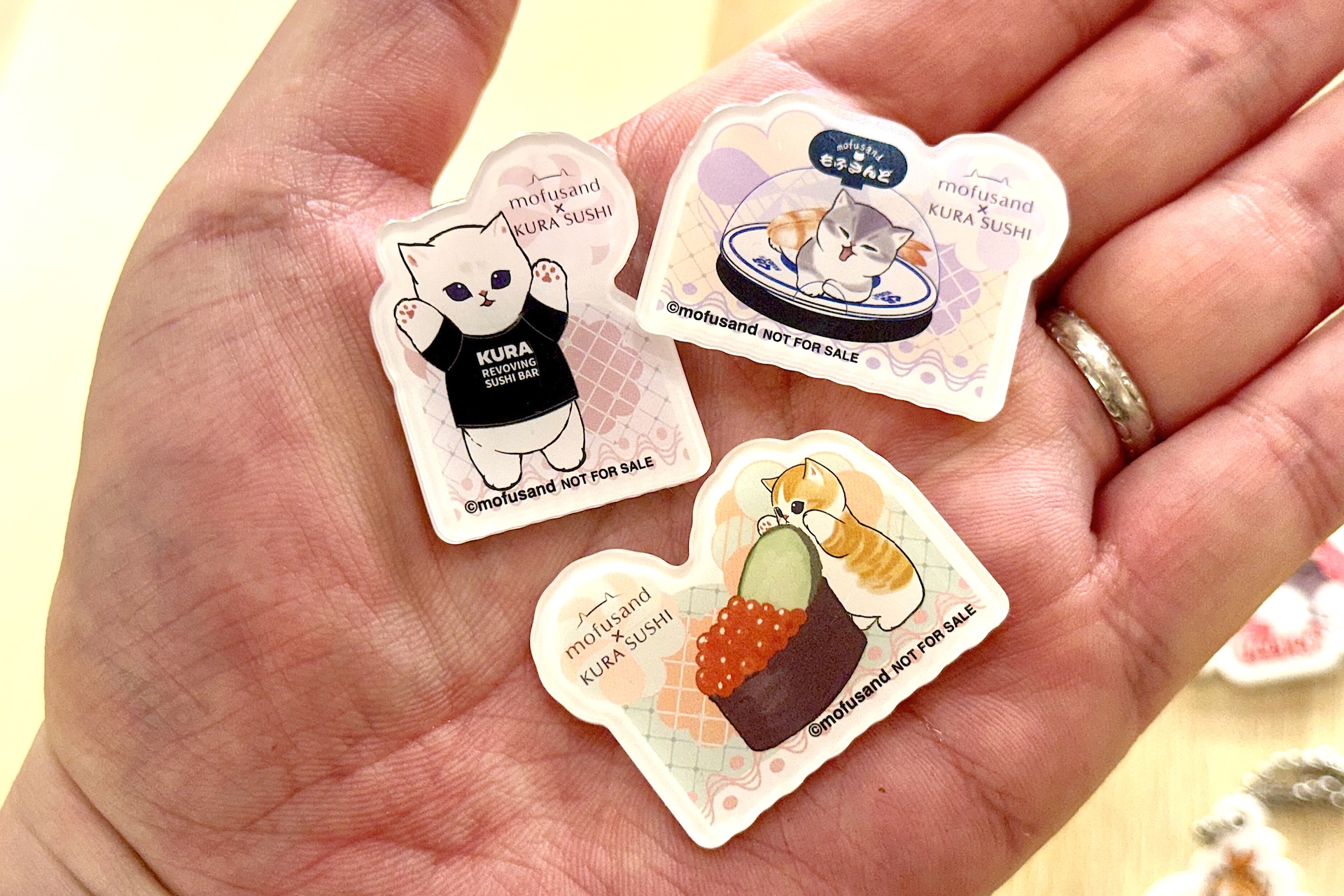 くら寿司Tシャツ着用などのにゃんこたちがかわいい