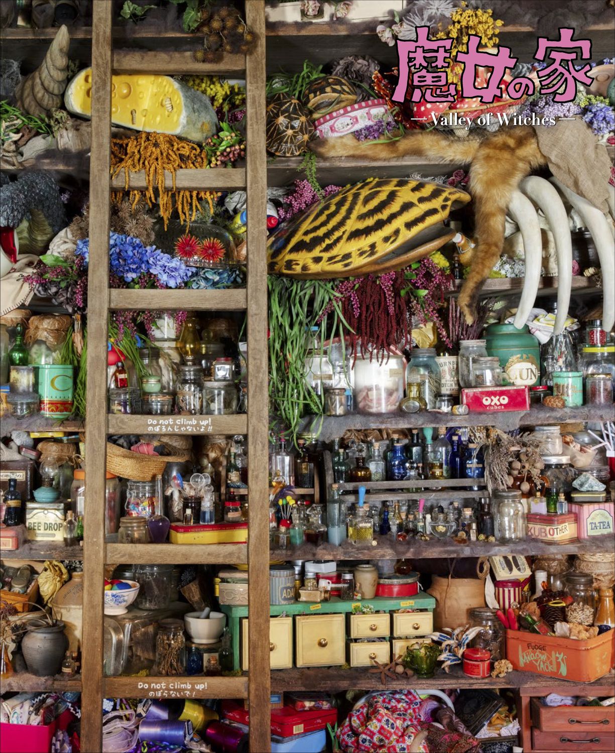 「魔女の家 公式パンフレット」