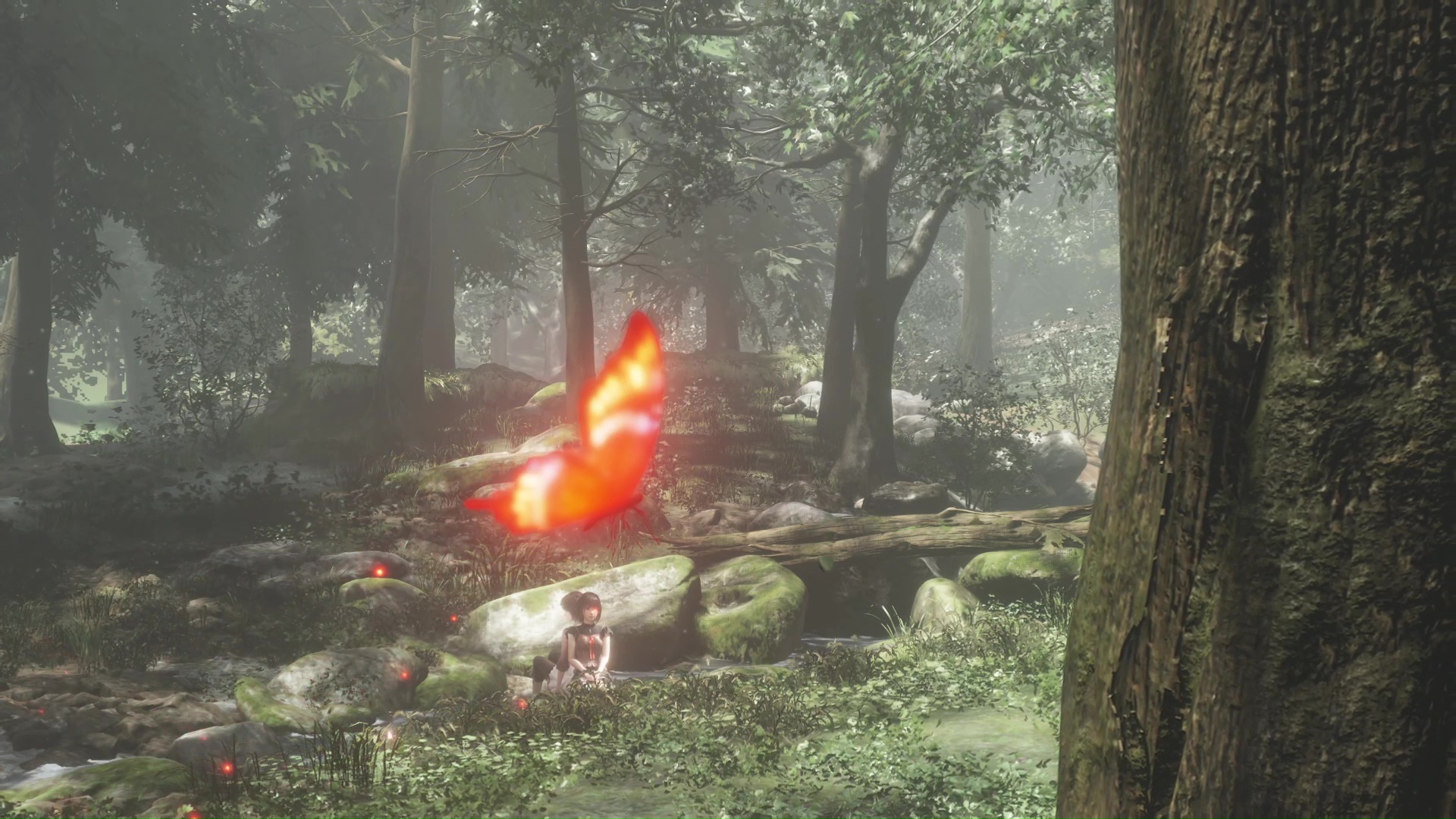 対照的な性格の澪と、姉の繭。紅い蝶に誘われて、夜が明けない皆神村に足を踏み入れてしまう