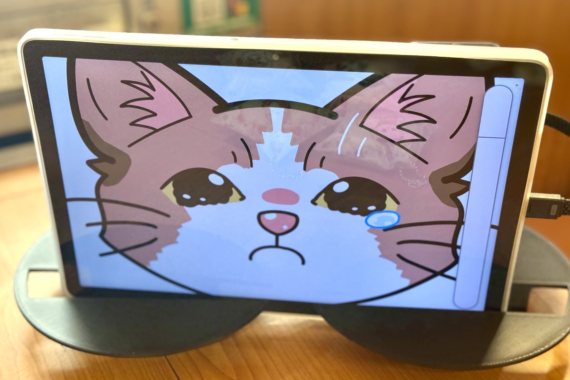 最初は泣いている猫だが…