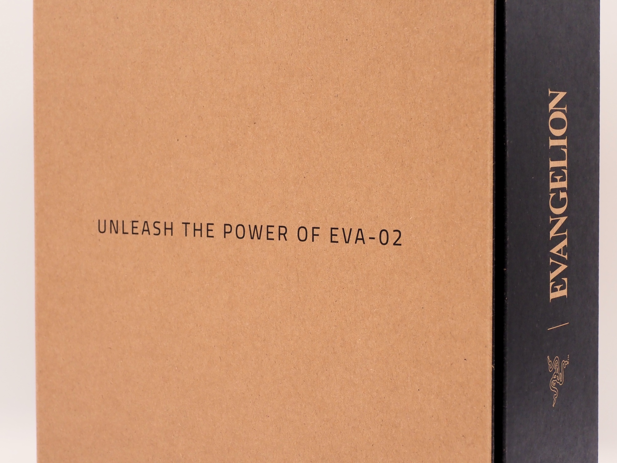 内箱も特別仕様で「UNLEASH THE POWER OF EVA-02」とプリントされている