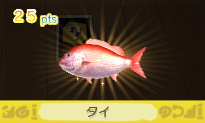 獲物が針に掛かったら、画面の指示に従って竿を持ち上げれば釣ることができる