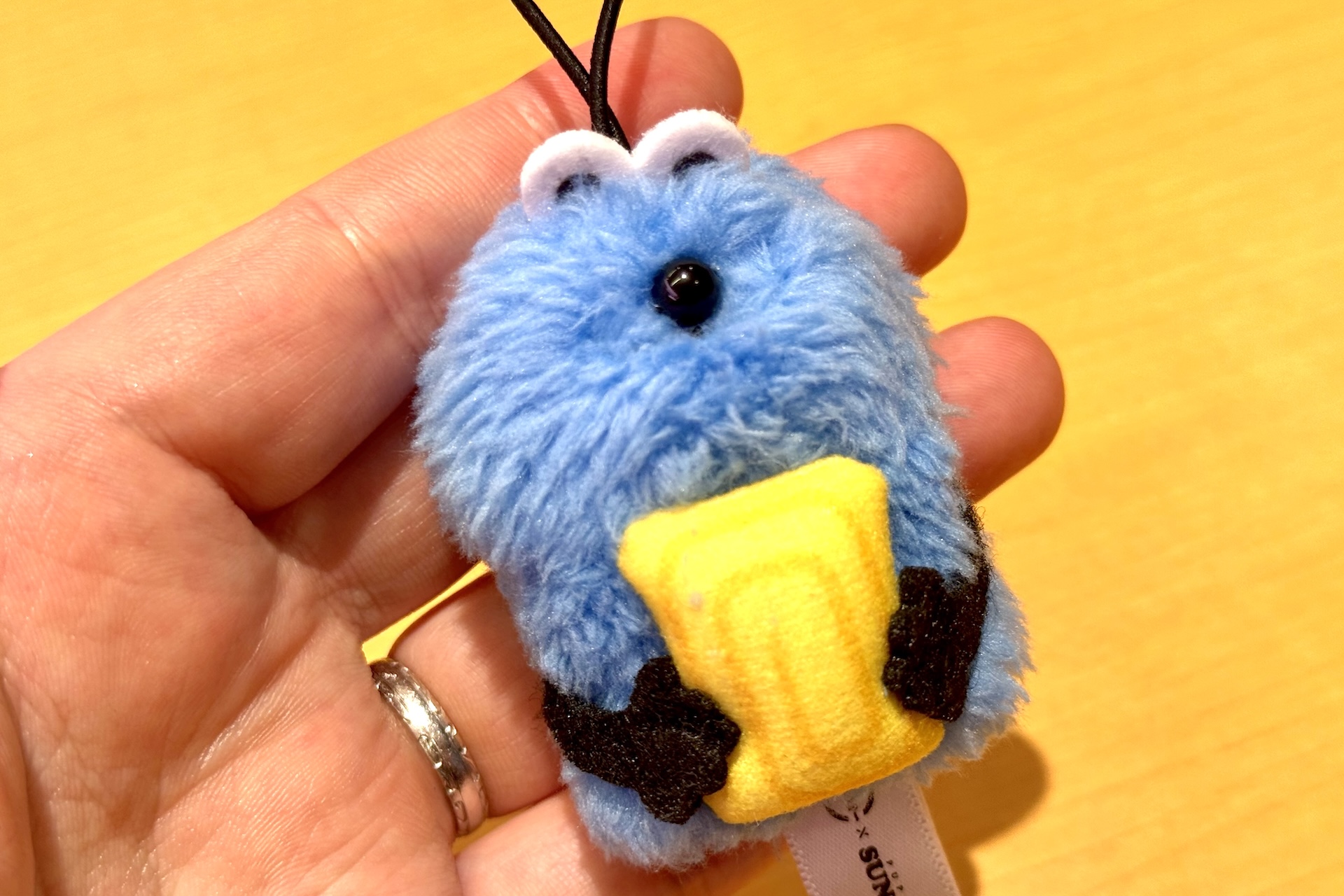 寿司ネタを抱えたスンスンが超かわいい！