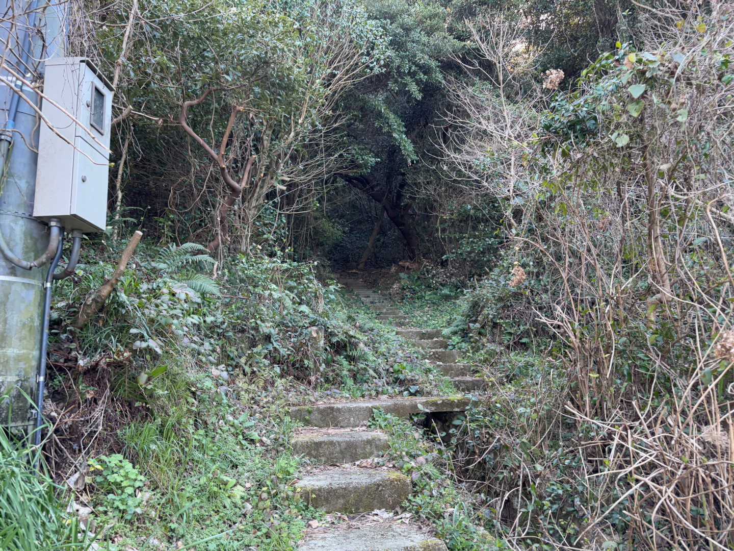 このように舗装されているものの険しい道がかなり多い