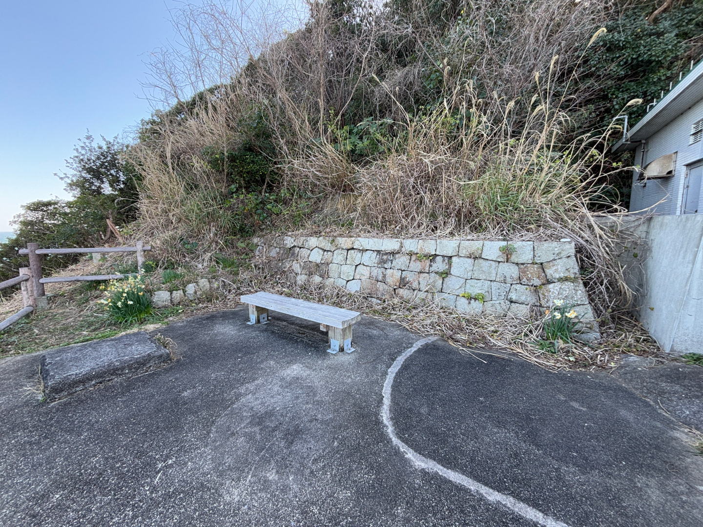 付近にはベンチまでしっかりある