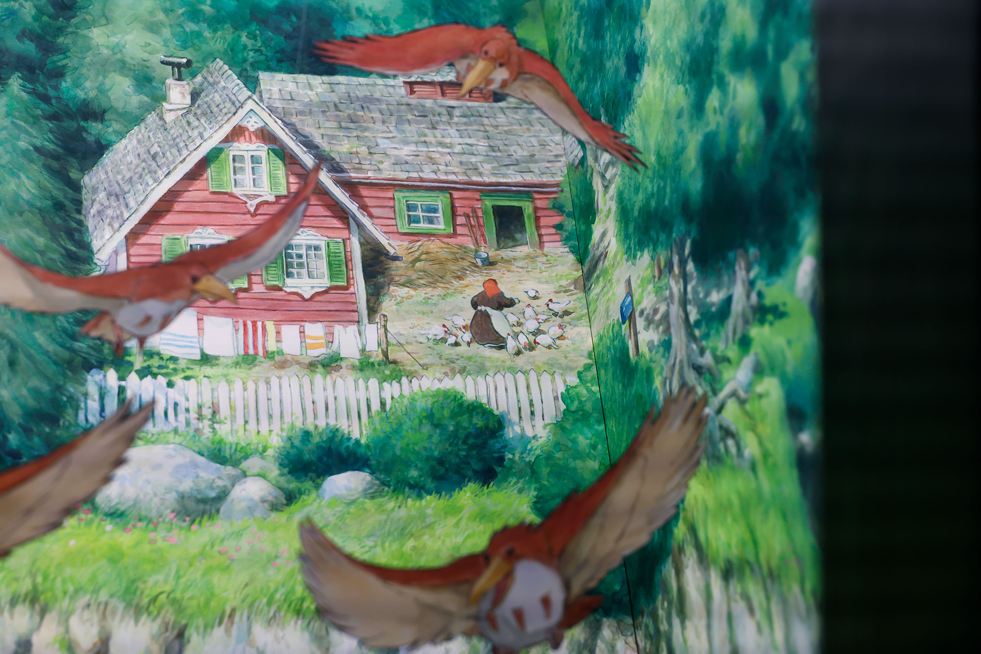 写真で撮ると、何にフォーカスを当てるかによって見え方が変わって面白い