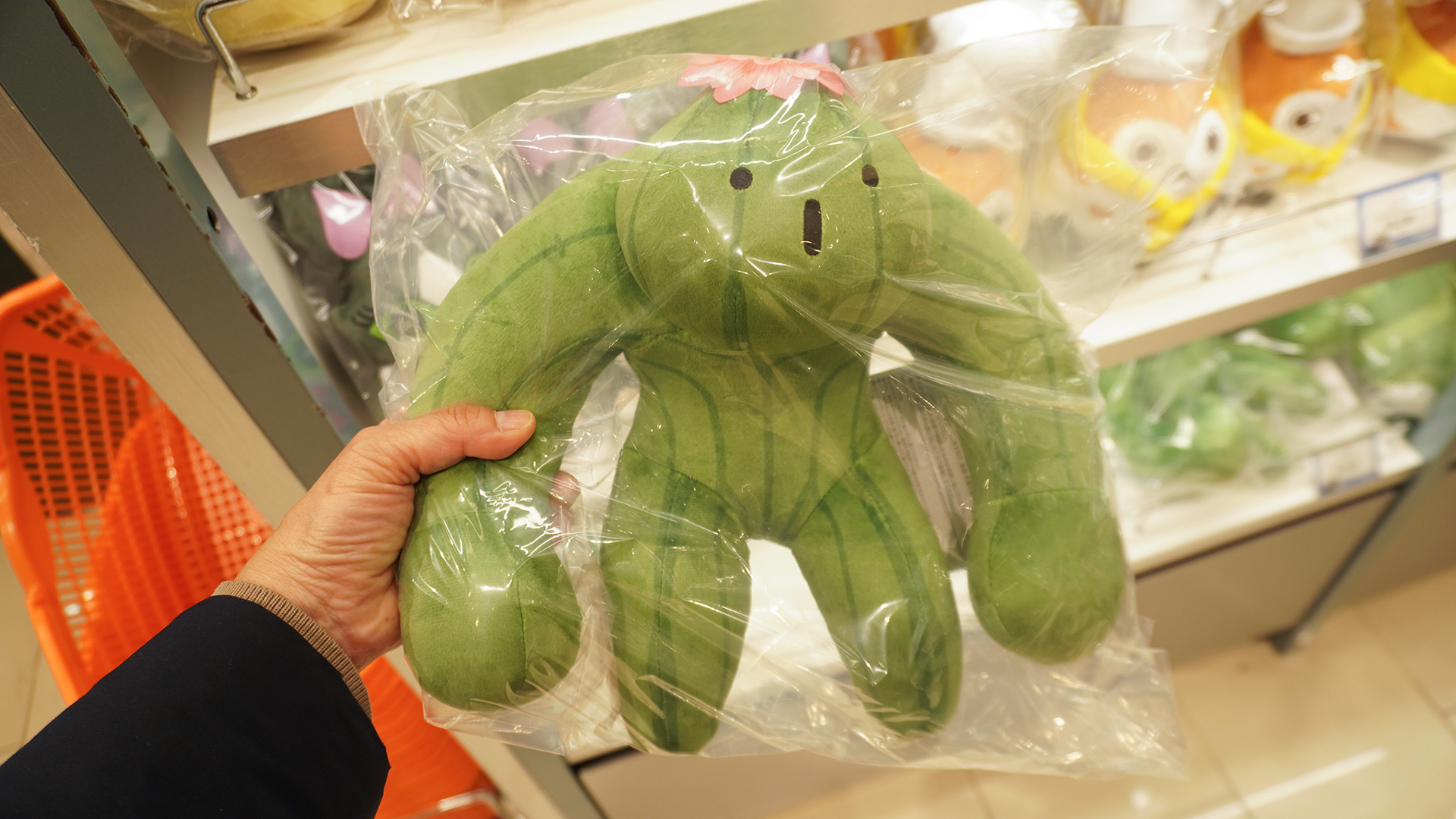 各種ぬいぐるみ