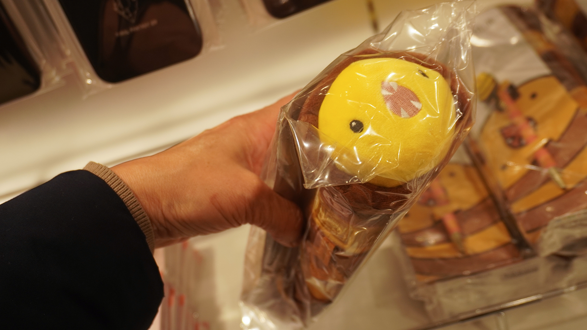 ロンカの水蛇？のペンケース＆ボールペンセット