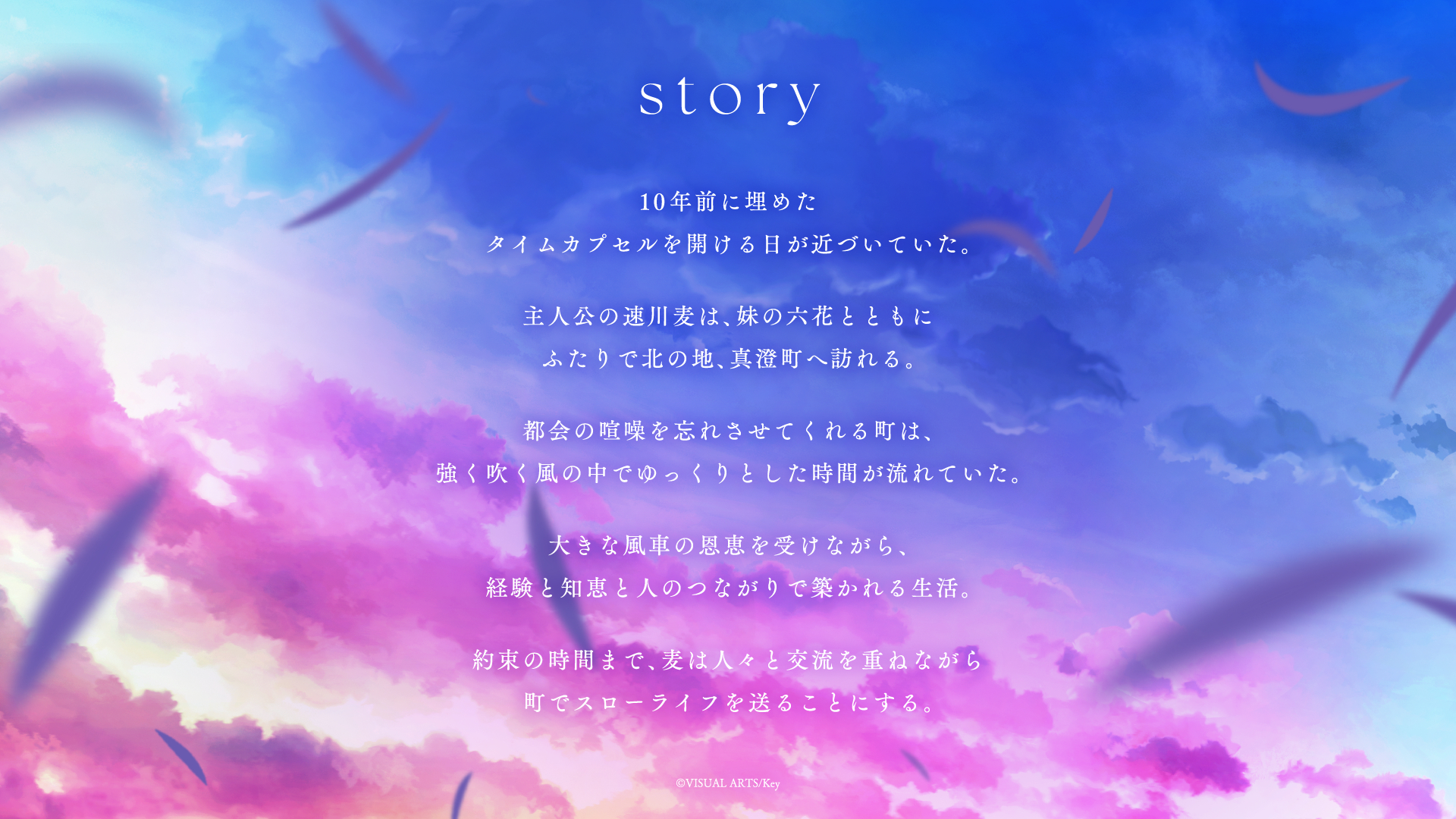 「anemoi」のあらすじ