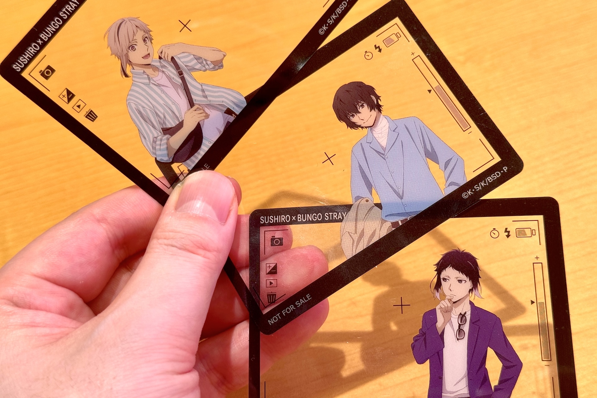 自分の好きな背景と組み合わせて写真を撮るといった楽しみ方ができそうだ