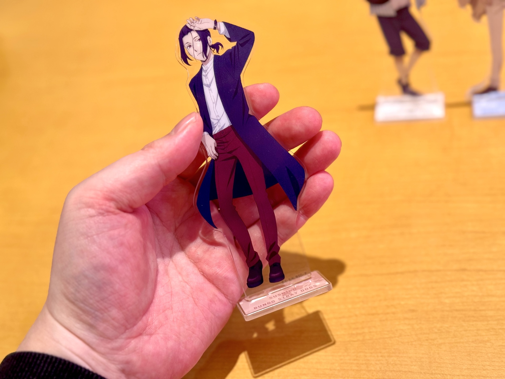 手に持ってみると大きさがわかりやすいかと思う。けっこうデカい