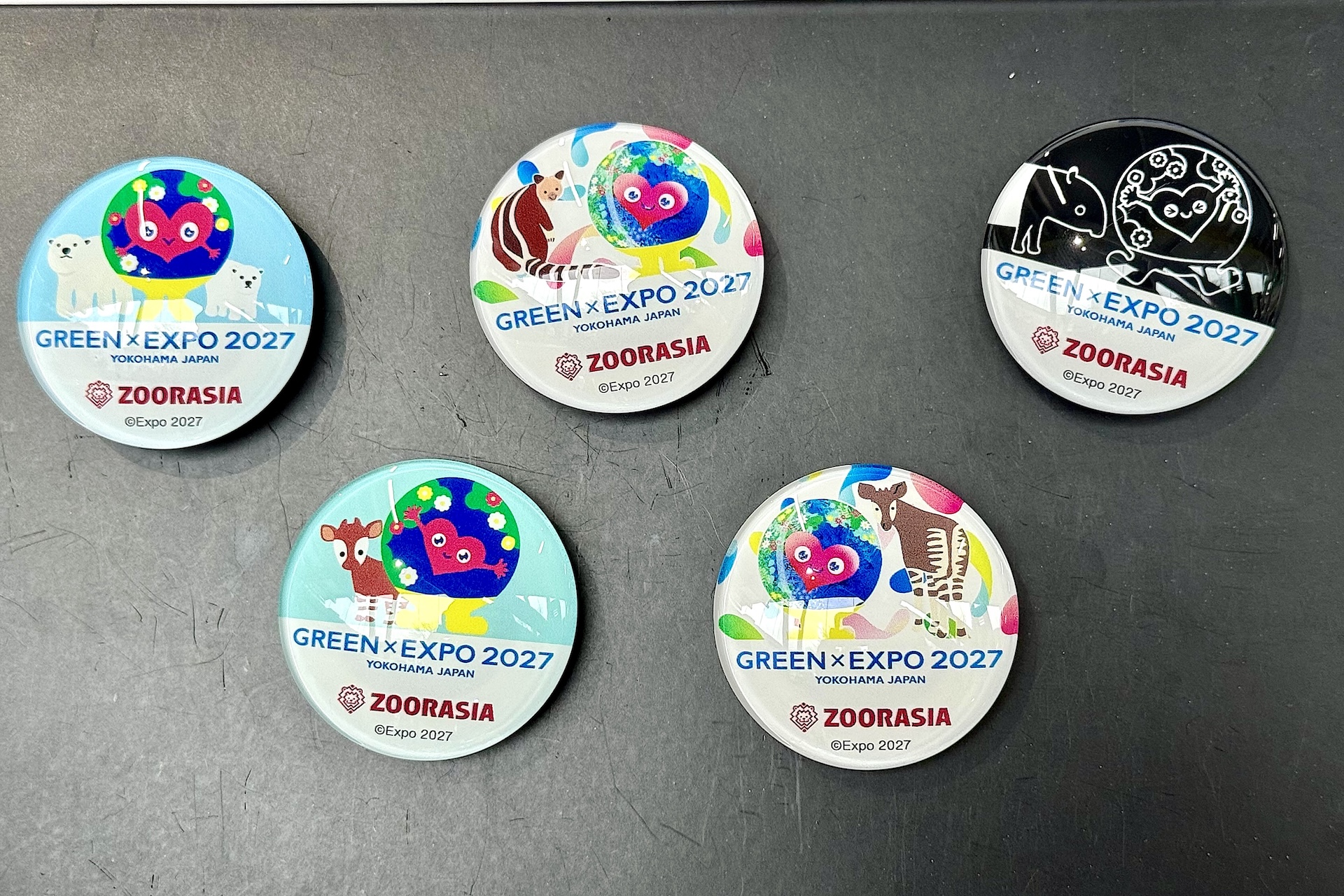 ガラスマグネットは全部で5種。何がでるかは開けてみるまでのお楽しみ