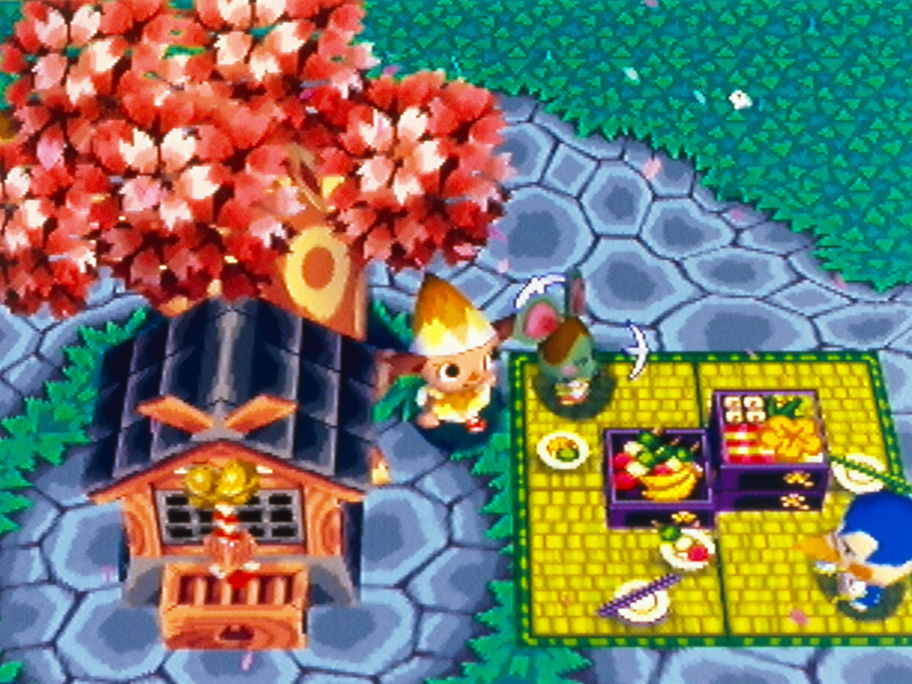 辛い日々を忘れさせてくれた、どうぶつの森