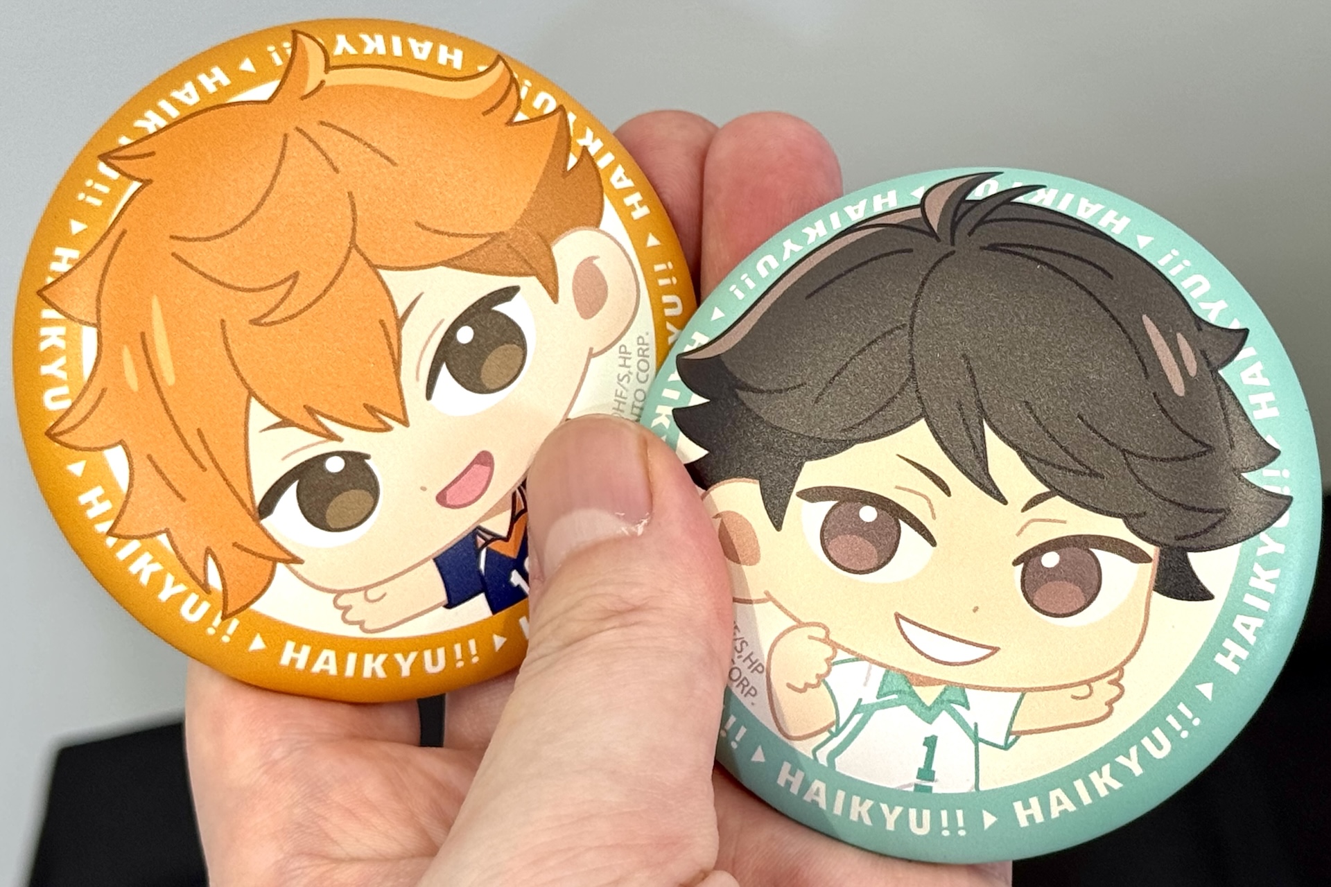 サイズはかなり大きめ