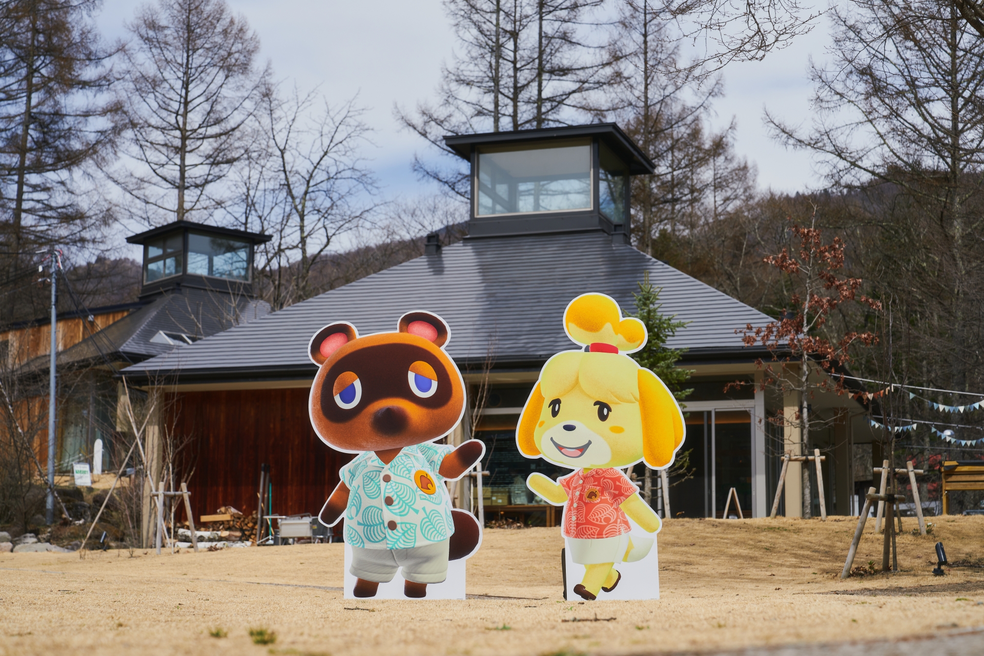 たぬきち しずえ