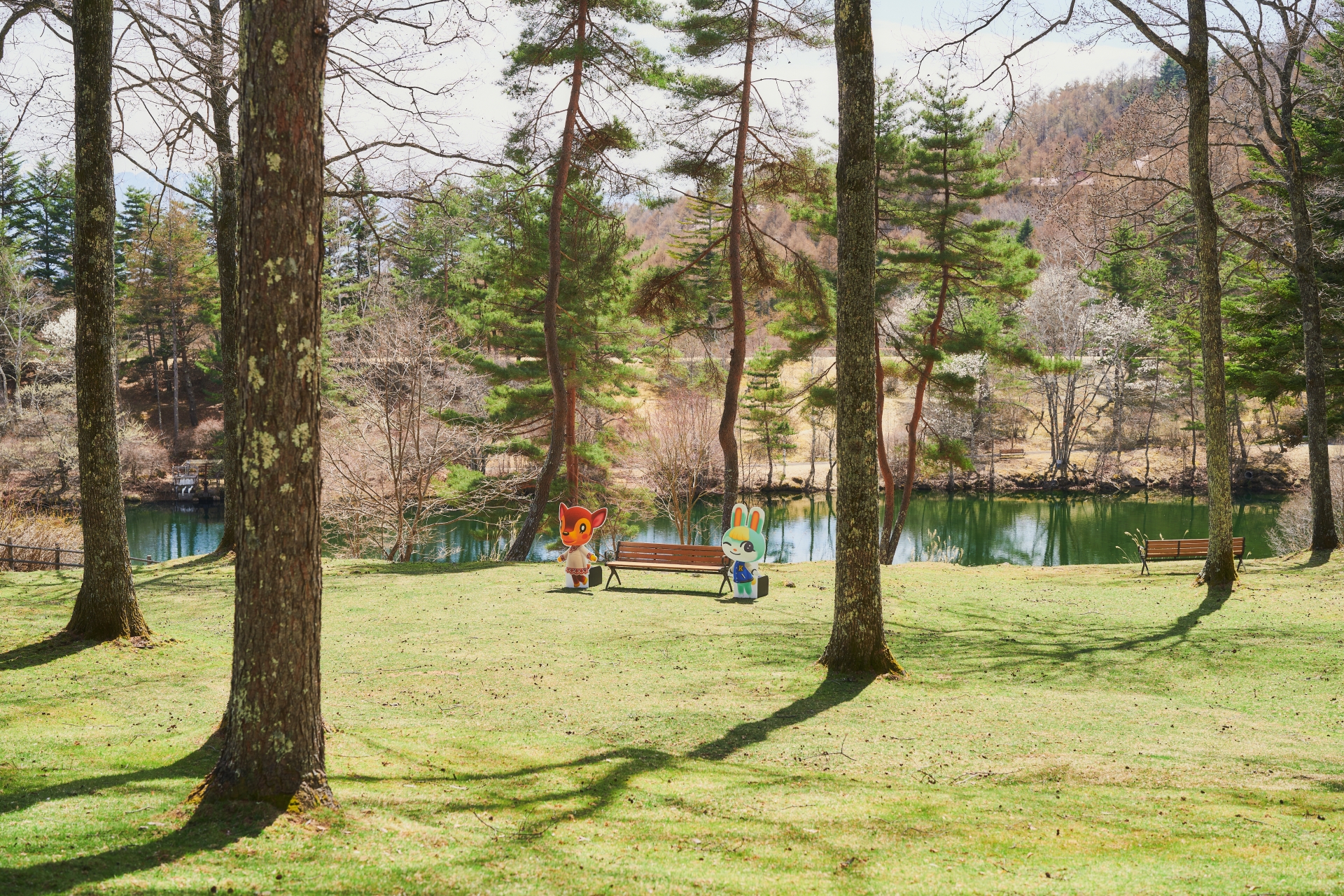 ドレミ ミッチェル