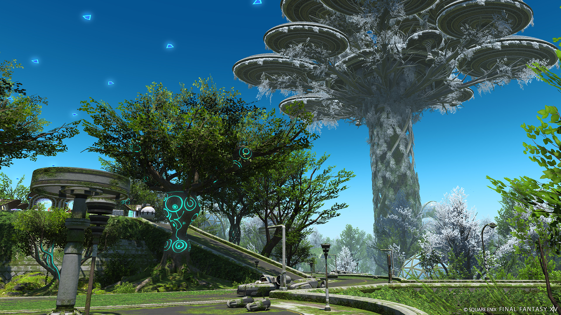 生い茂る植物に覆われた廃墟が点在する星「アウクセシア」が登場