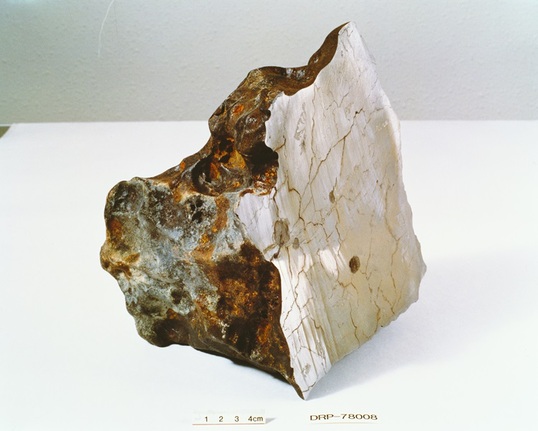 南極で採取された鉄隕石