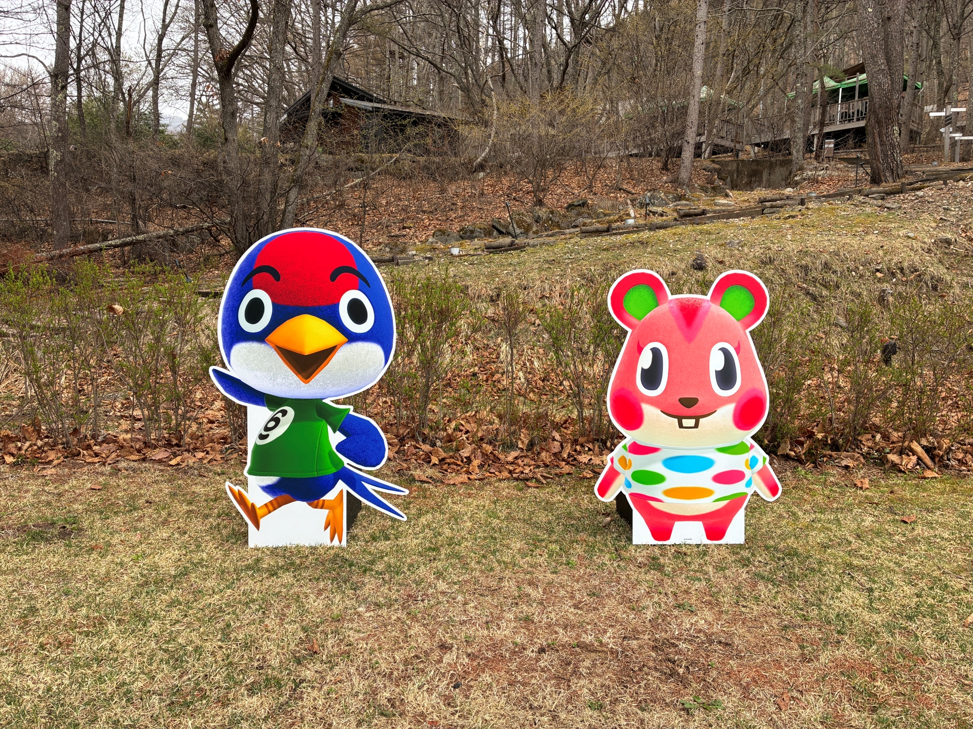 数々ある住民たちのパネル。それぞれがフォトスポットにもなっている