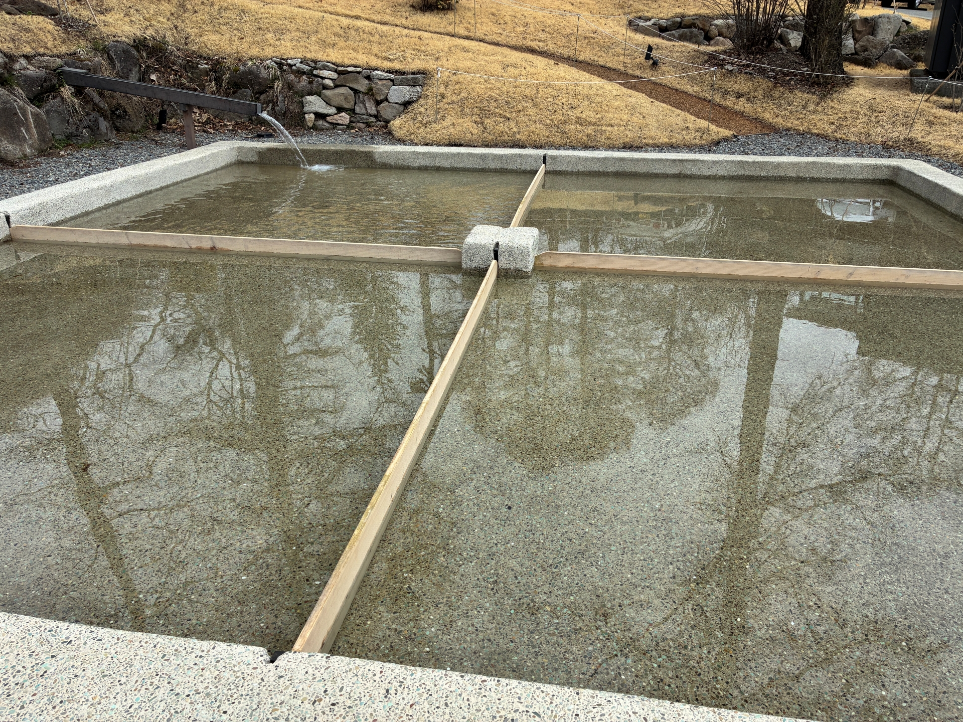 つかみ取り用の生け簀。取材した日は魚がいなかった