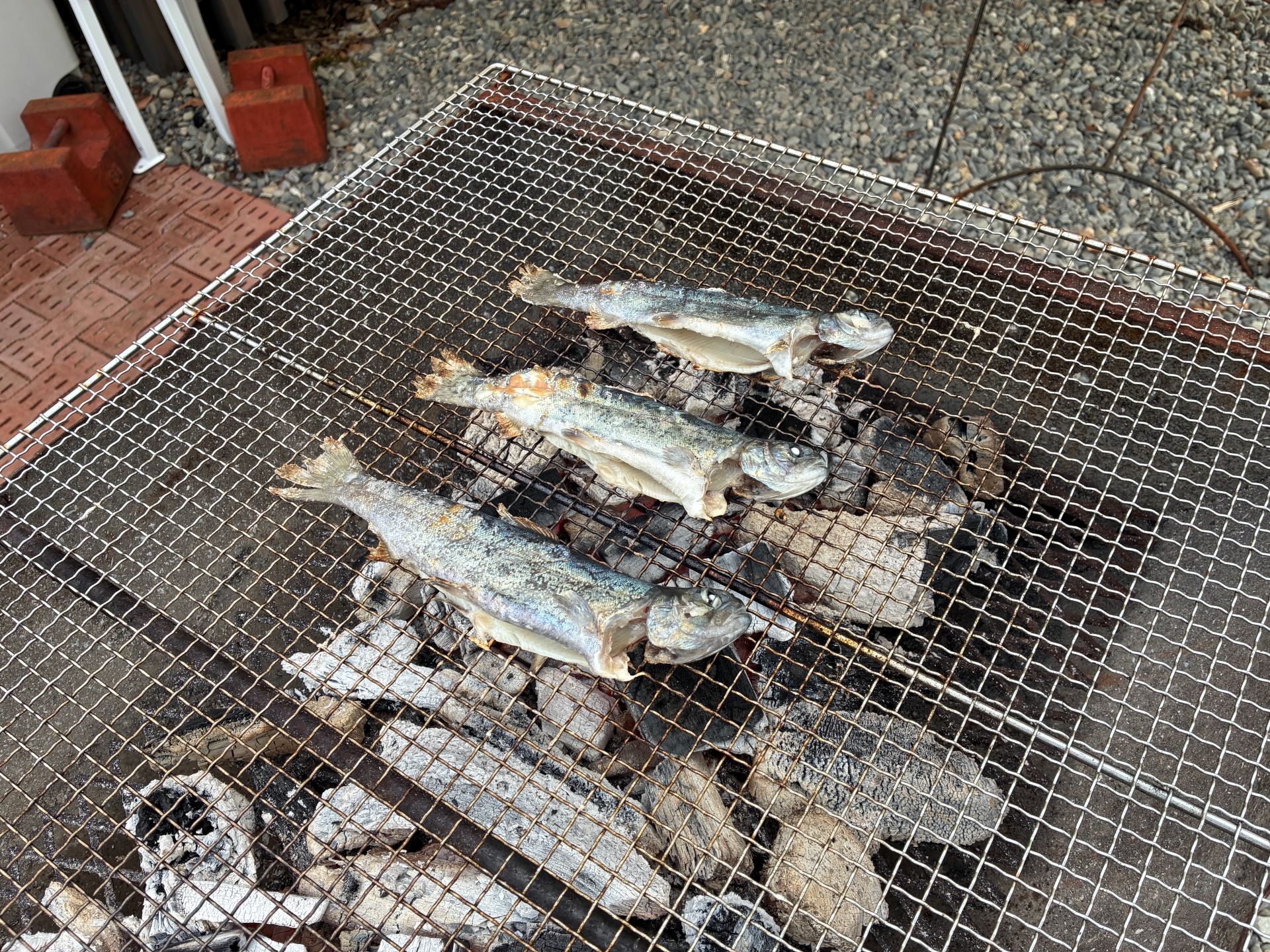 釣った魚はその場で焼いてもらえる