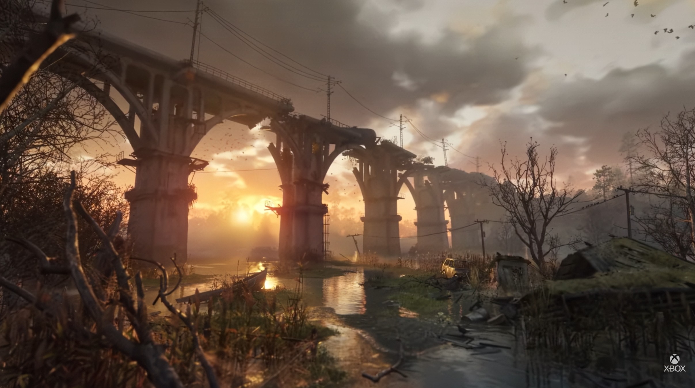 オリジナルエンジンでゲームを開発、ゲーム世界の描写に注力している