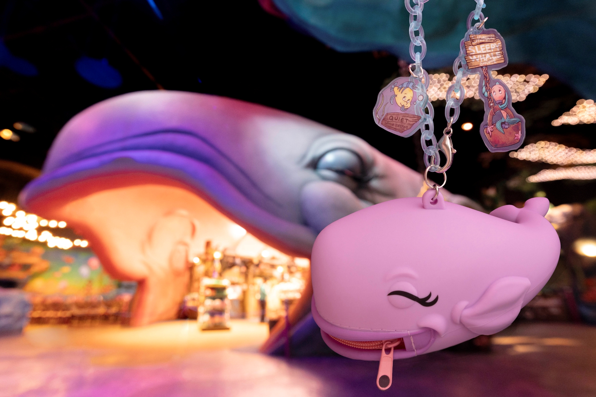 イメージカット