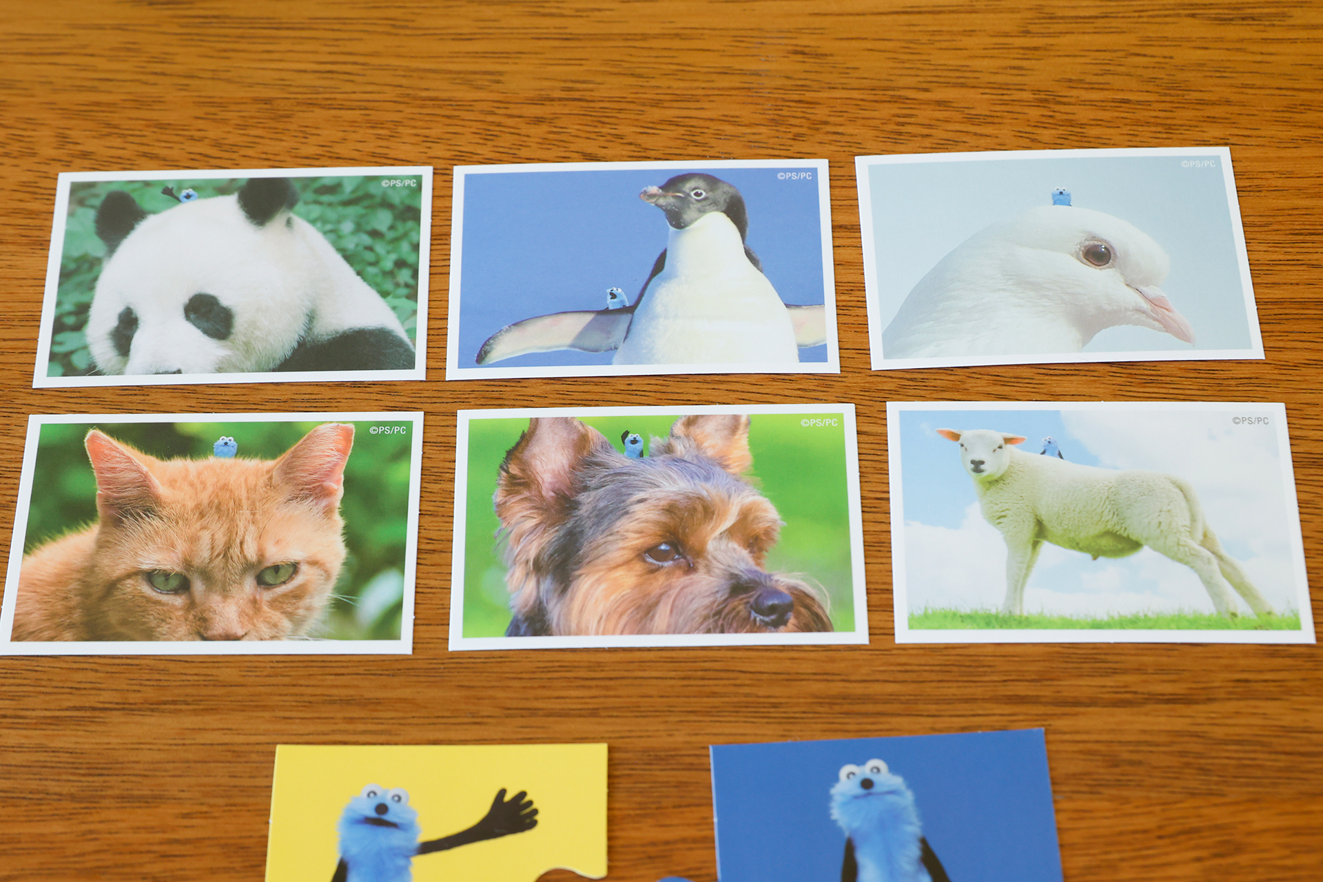 よく見ると動物の写真にまぎれてスンスンの姿も！