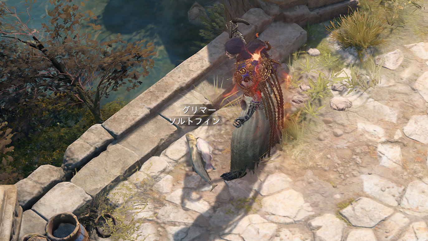 みんなが食べていそうな普通の魚