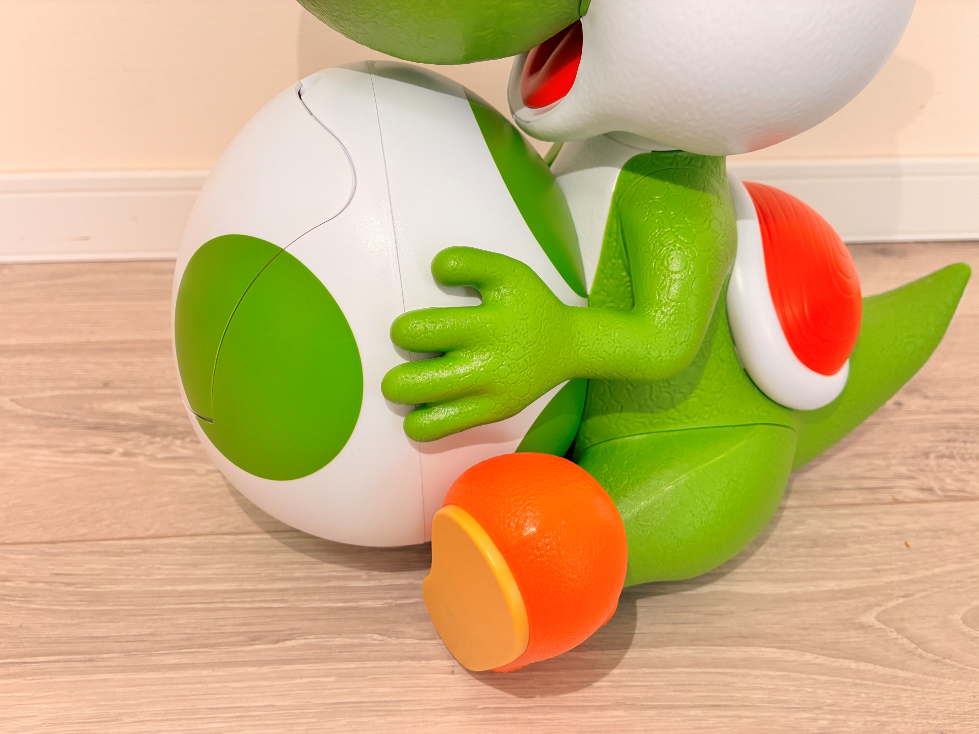 タマゴ周囲のアップ