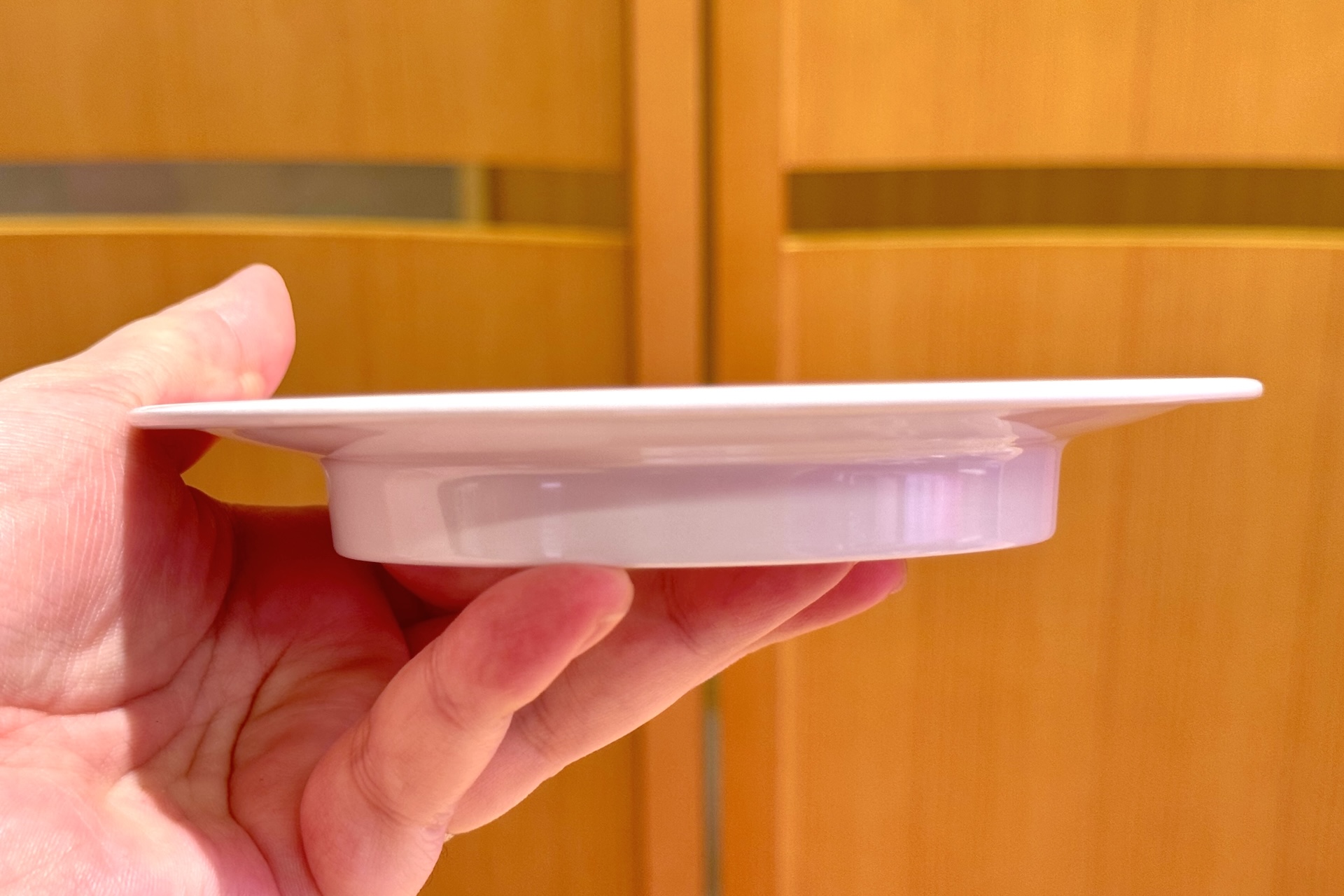 お皿はスシローで使用されているものと同じサイズだ